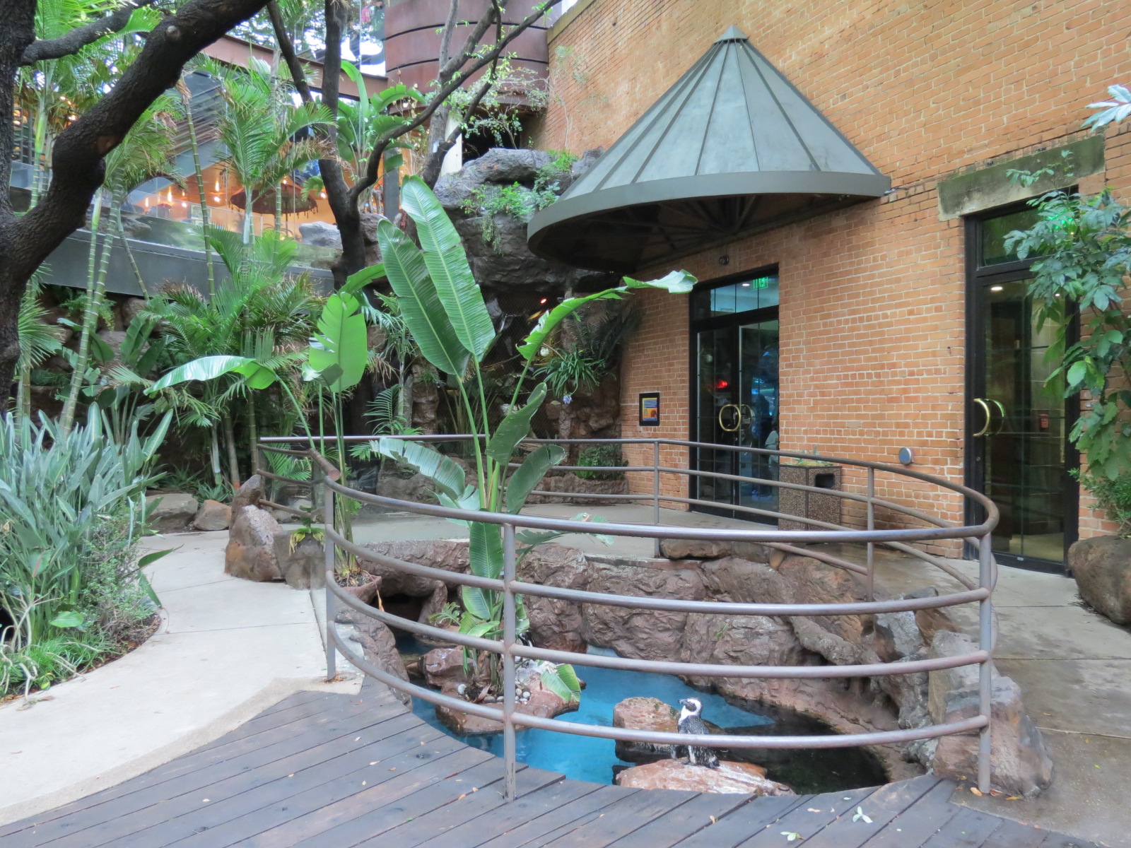 Cape of Good Hope - Black-footed Penguin Exhibit