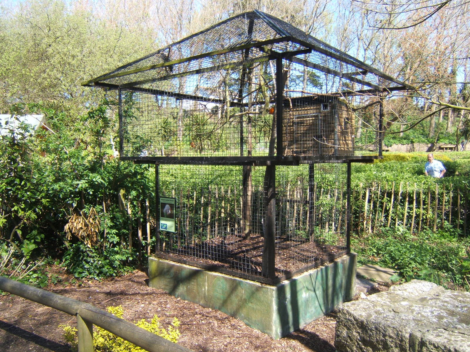 Cape Parrot Aviary