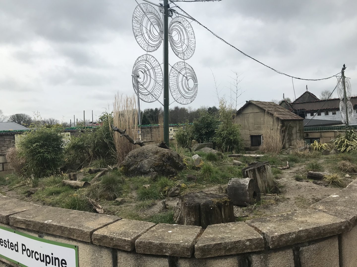 Cape porcupine and dwarf mongoose enclosure