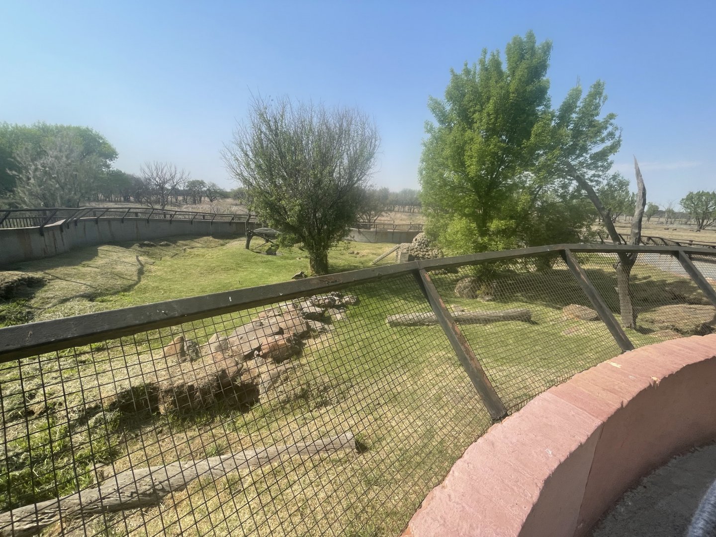 Cape Porcupine and Yellow Mongoose Enclosure (Hystrix africaeaustralis, Cynictis penicillata)
