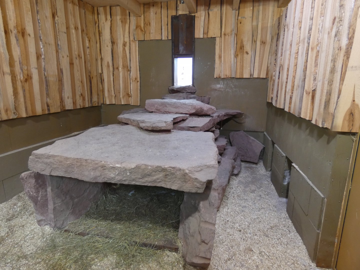 Cape Porcupine and Yellow Mongoose enclosure