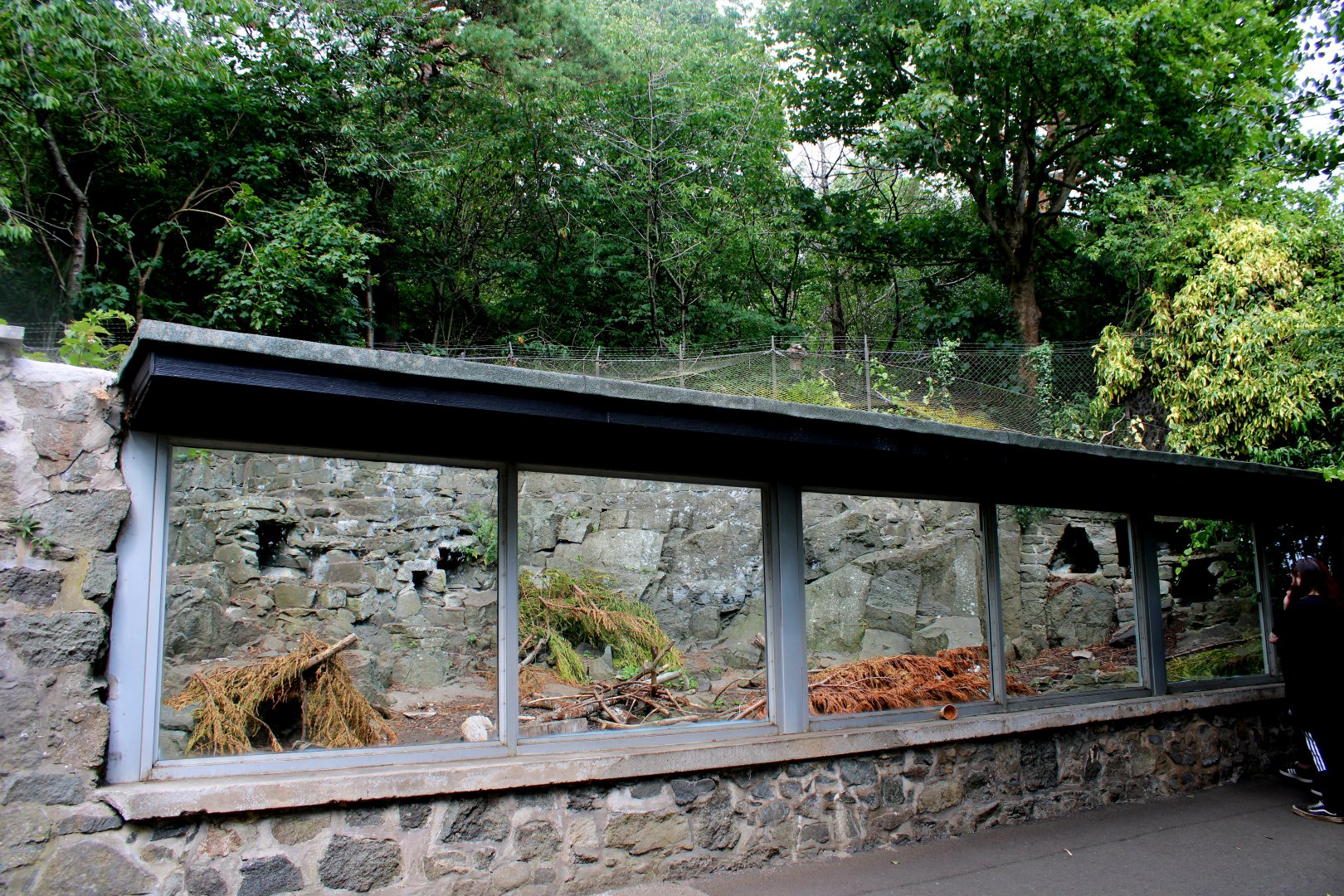 Cape Porcupine... aviary? - 26/07/25