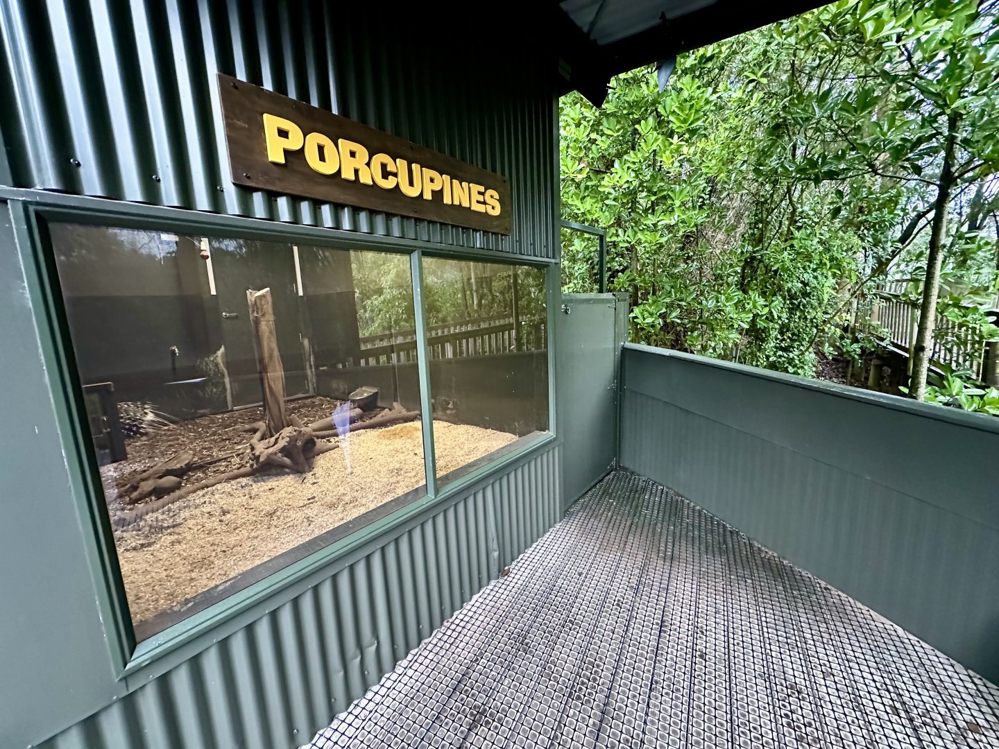 Cape Porcupine Den - Viewing Window
