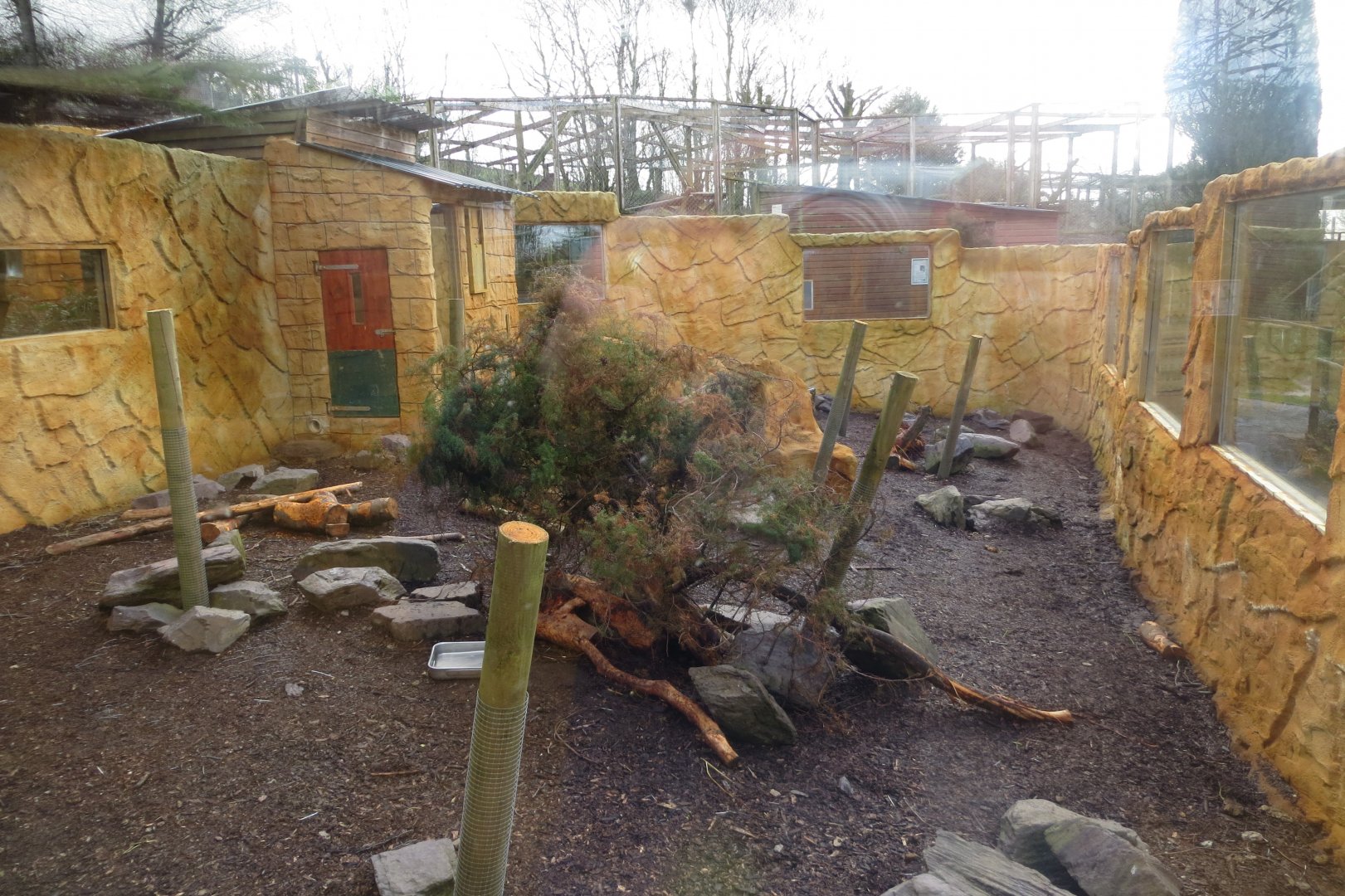 Cape porcupine enclosure 040319