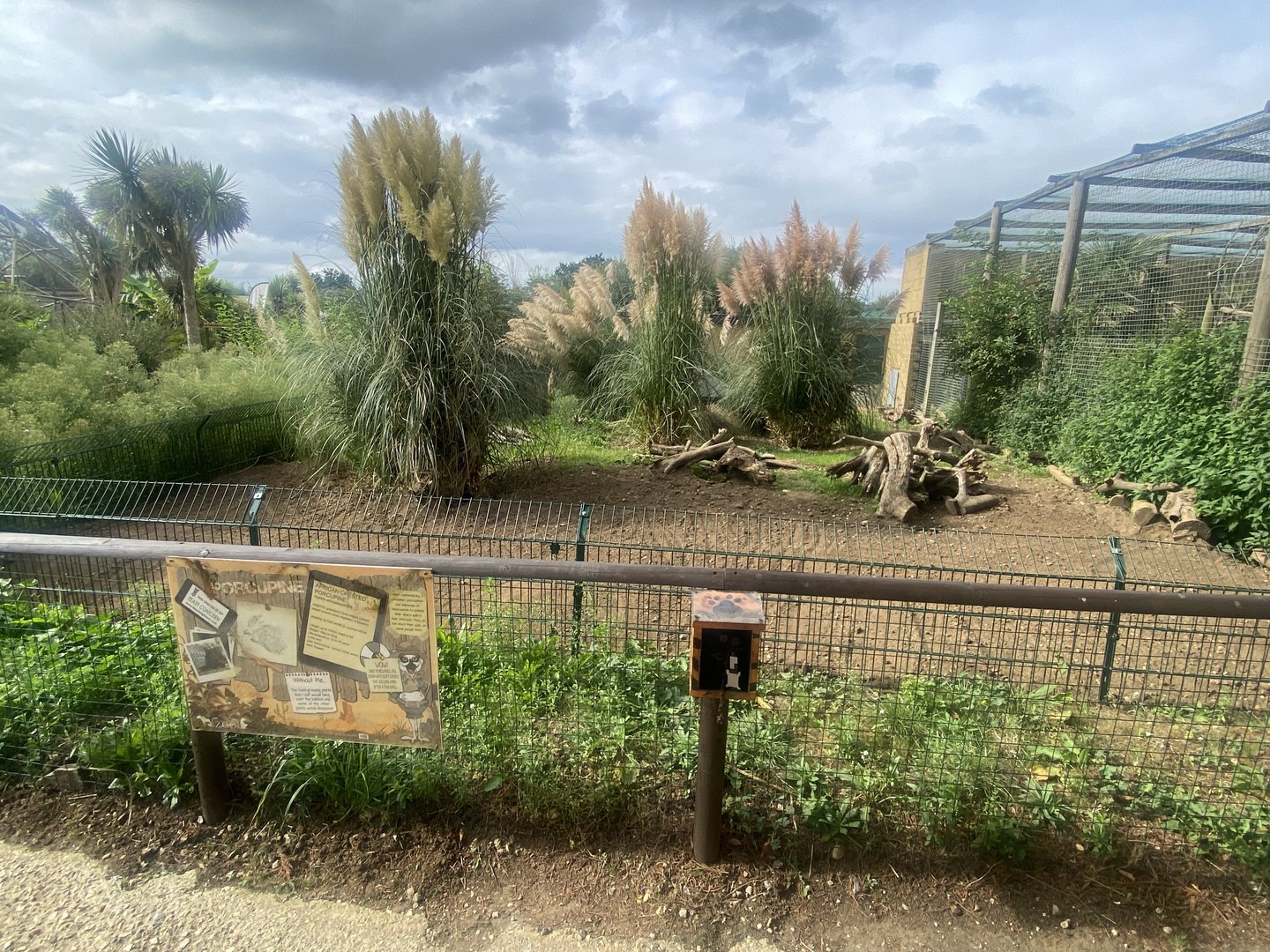 Cape porcupine enclosure 130923