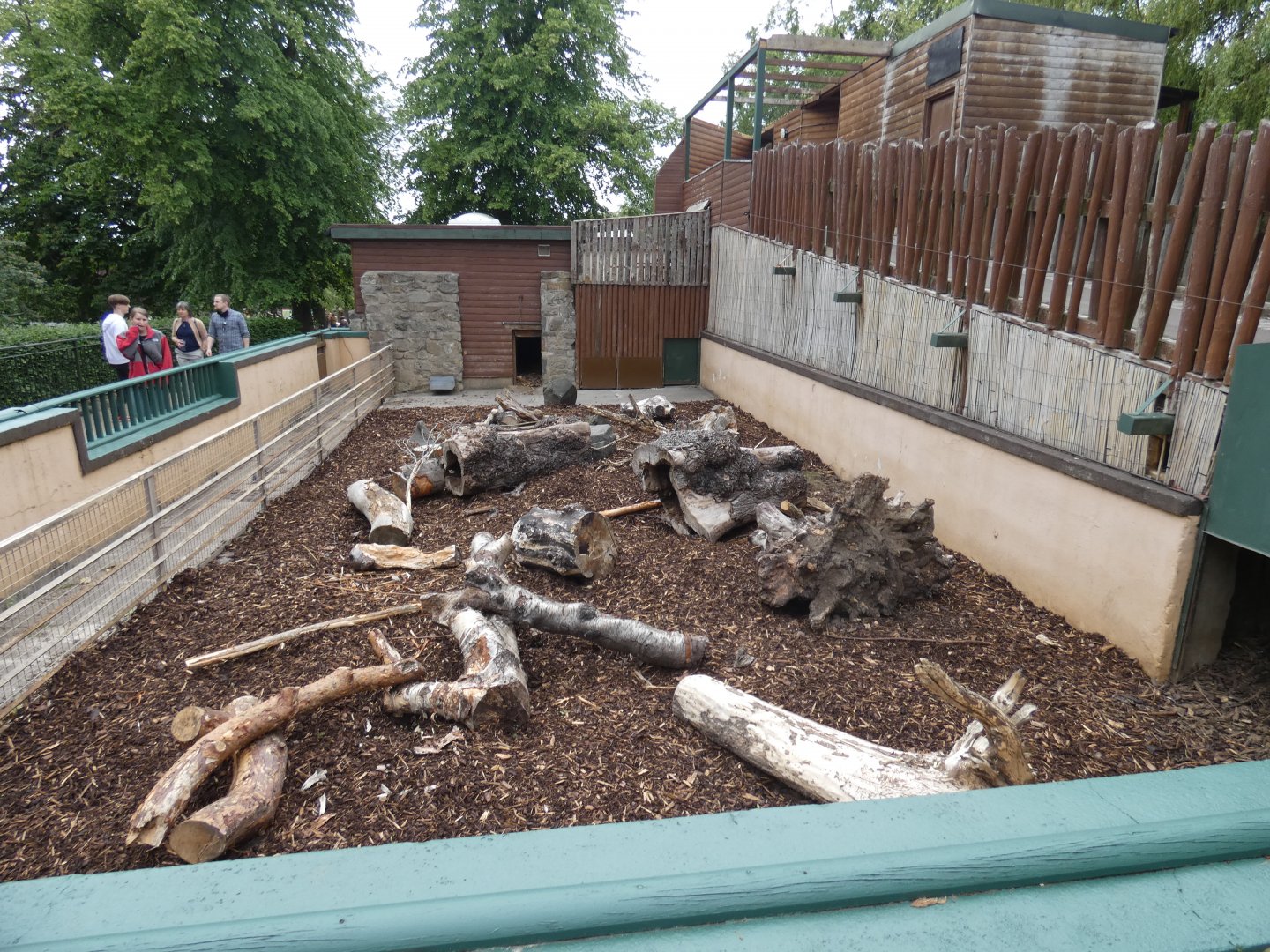 Cape porcupine enclosure