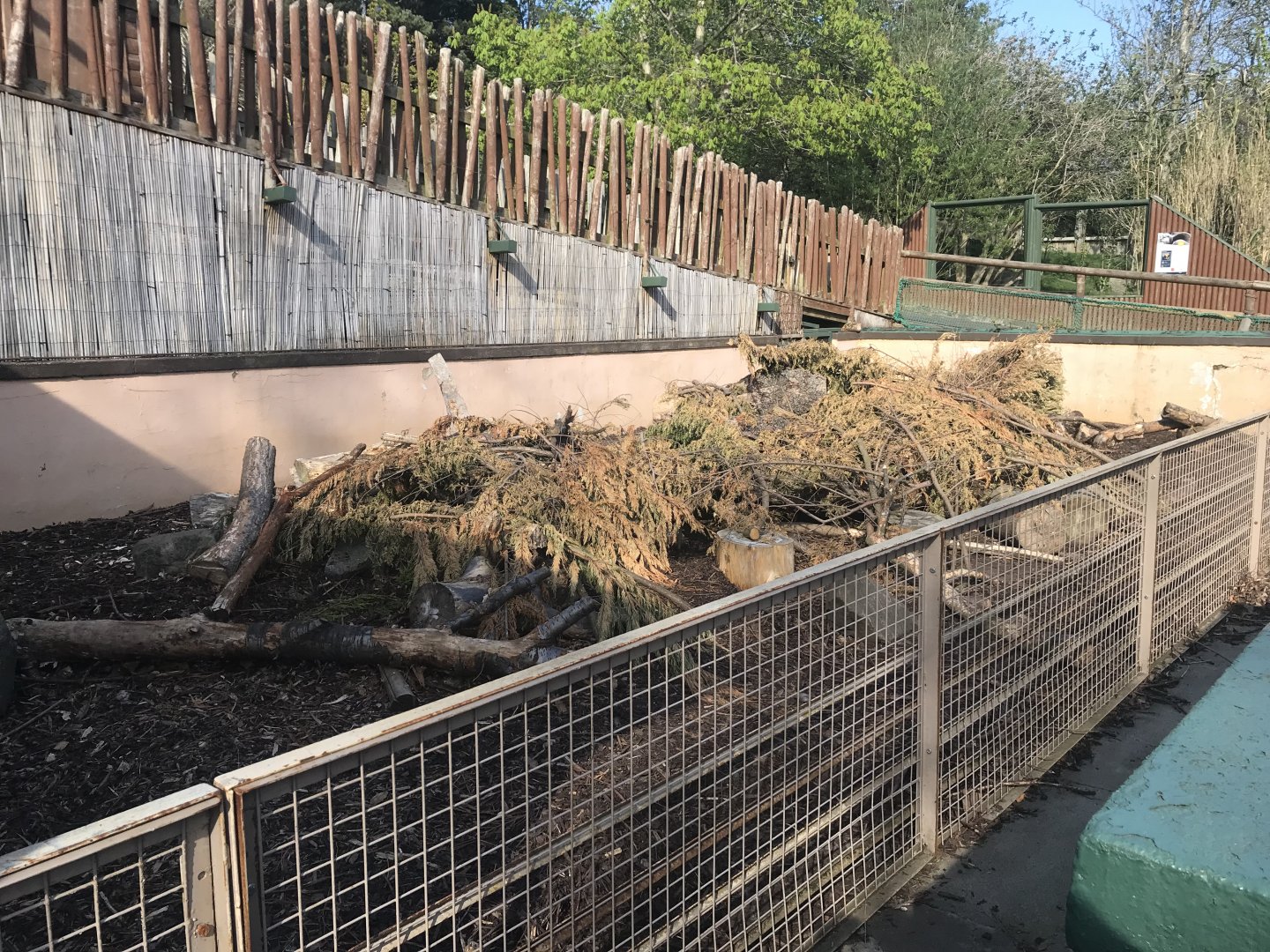Cape porcupine enclosure