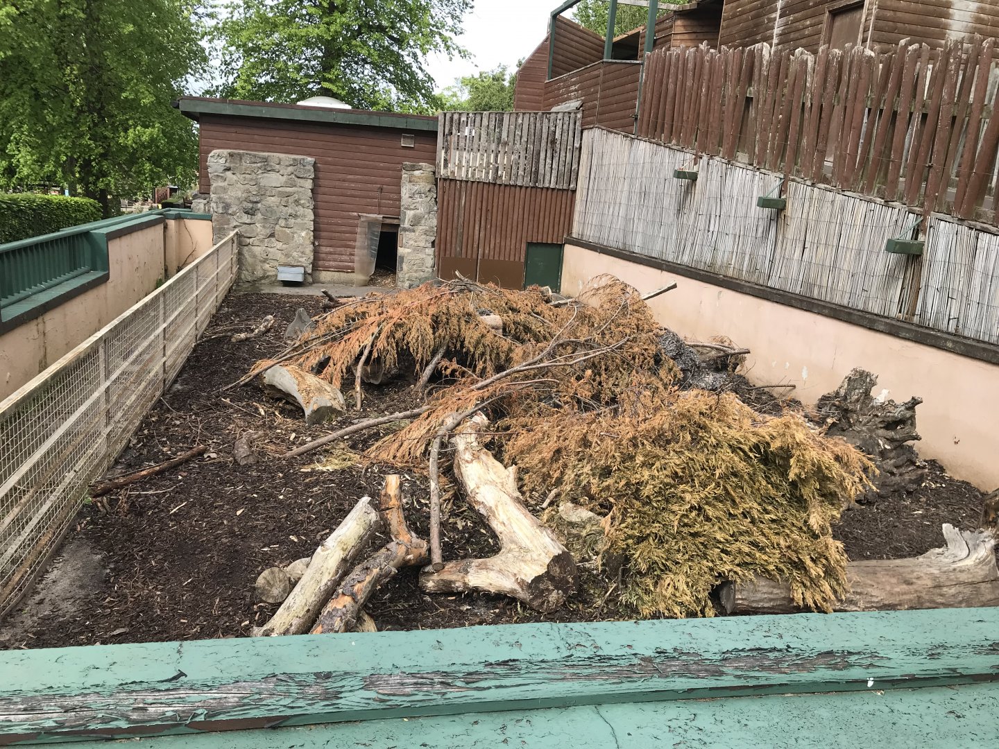 Cape porcupine enclosure