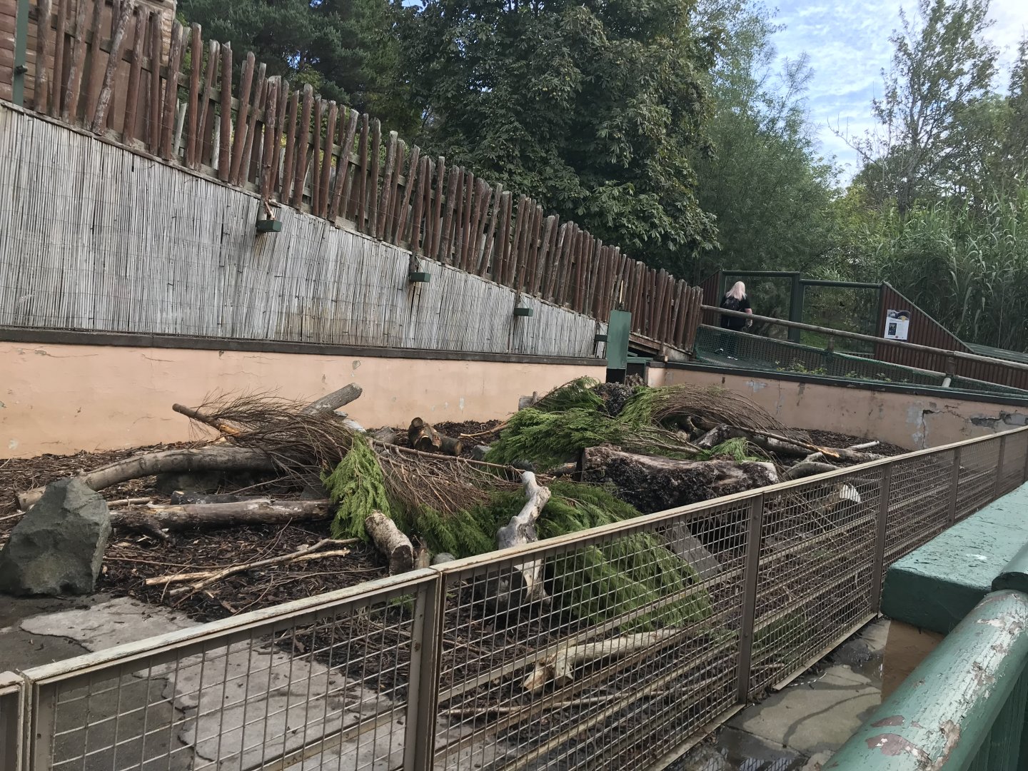 Cape porcupine enclosure