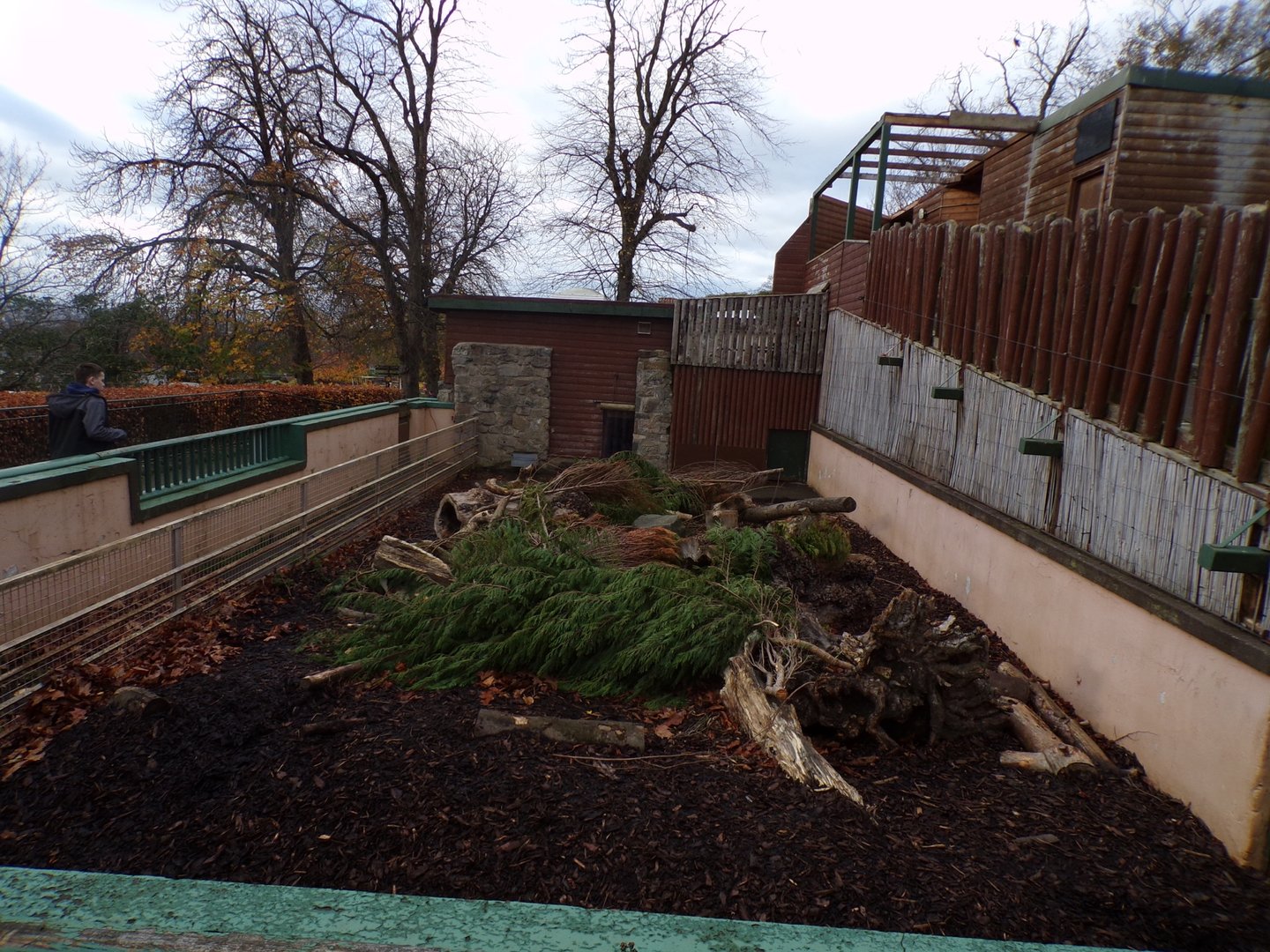 Cape porcupine enclosure