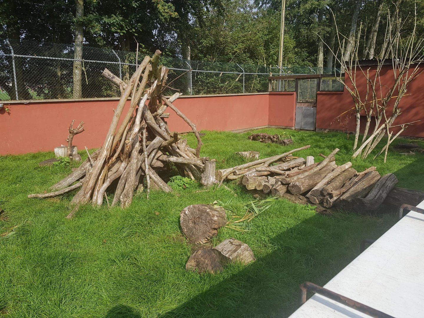 Cape Porcupine Enclosure