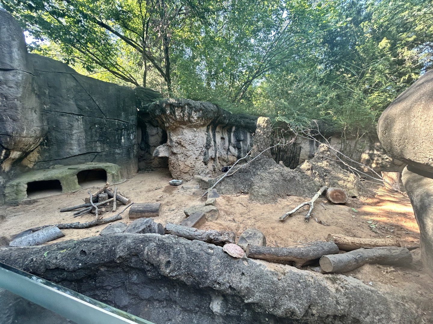 Cape Porcupine Enclosure