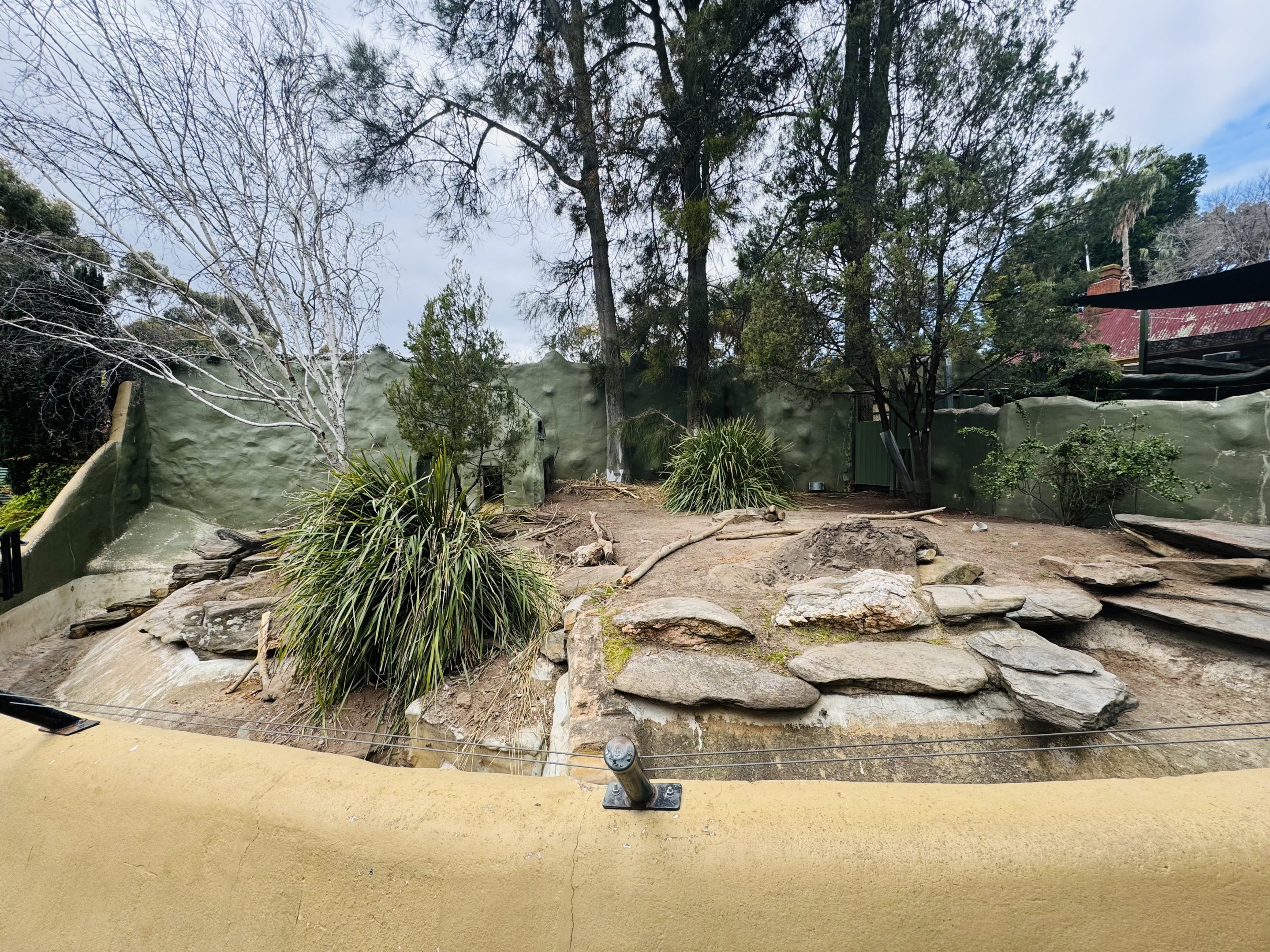 Cape porcupine enclosure