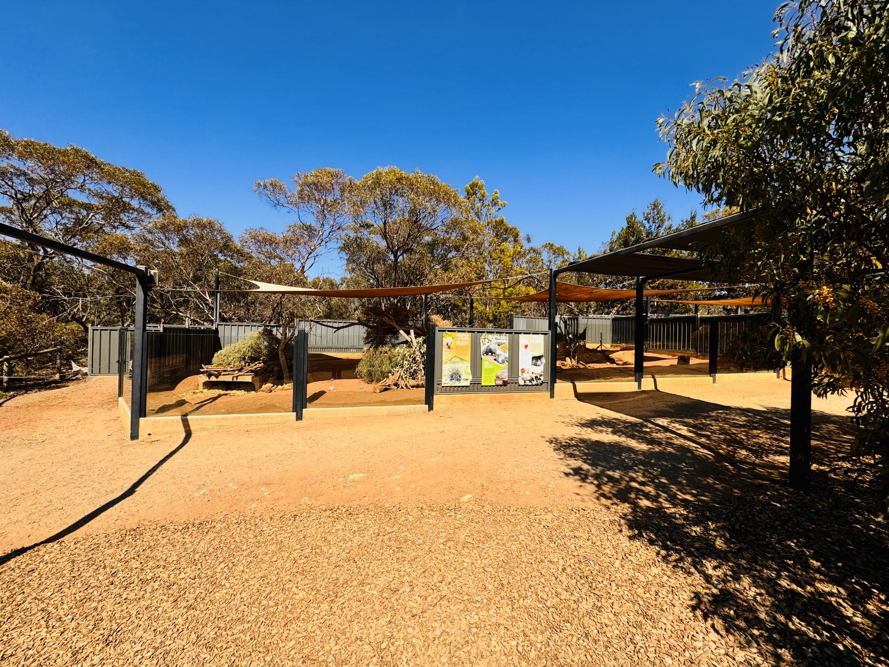 Cape porcupine enclosure