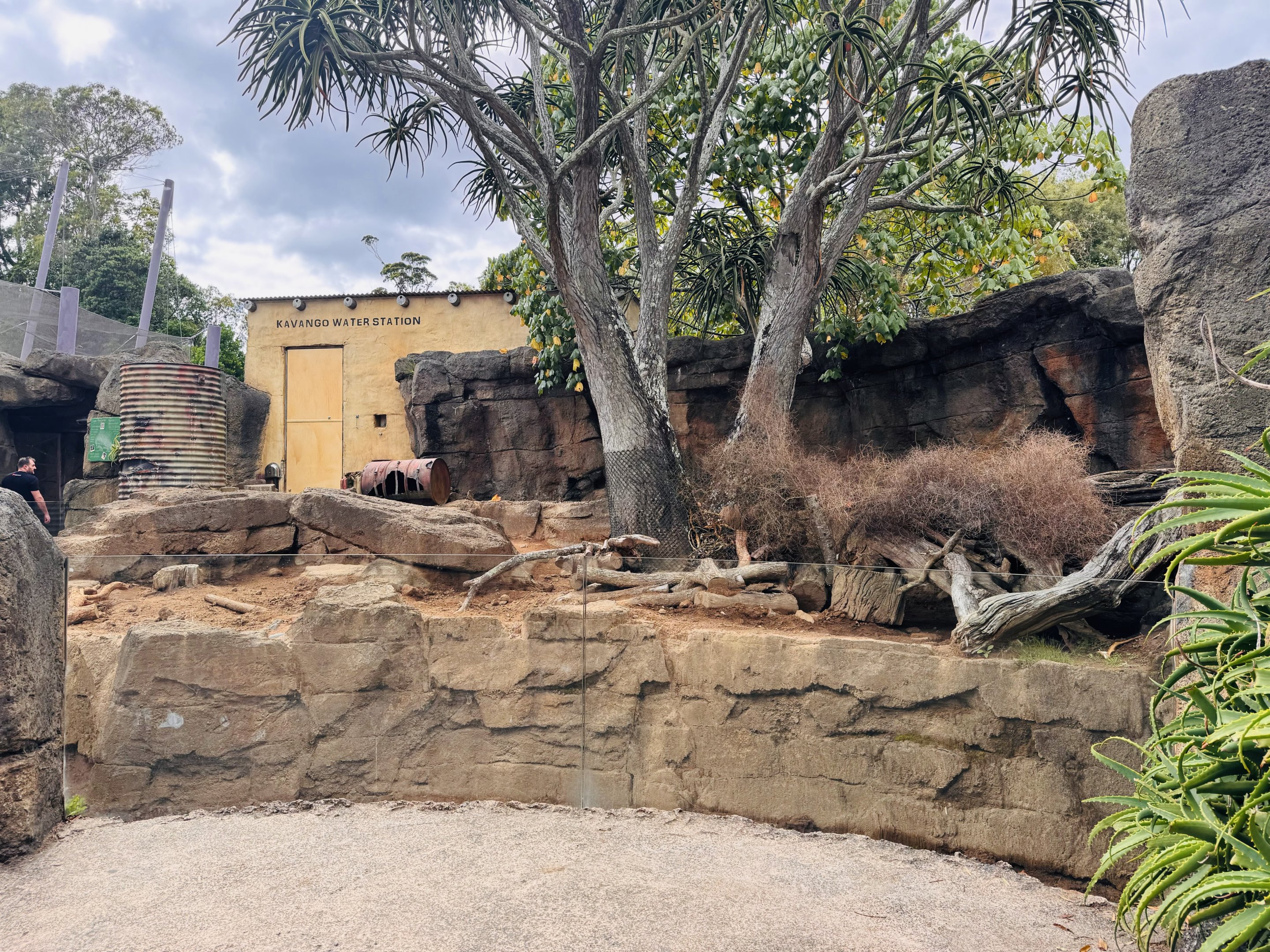 Cape porcupine enclosure
