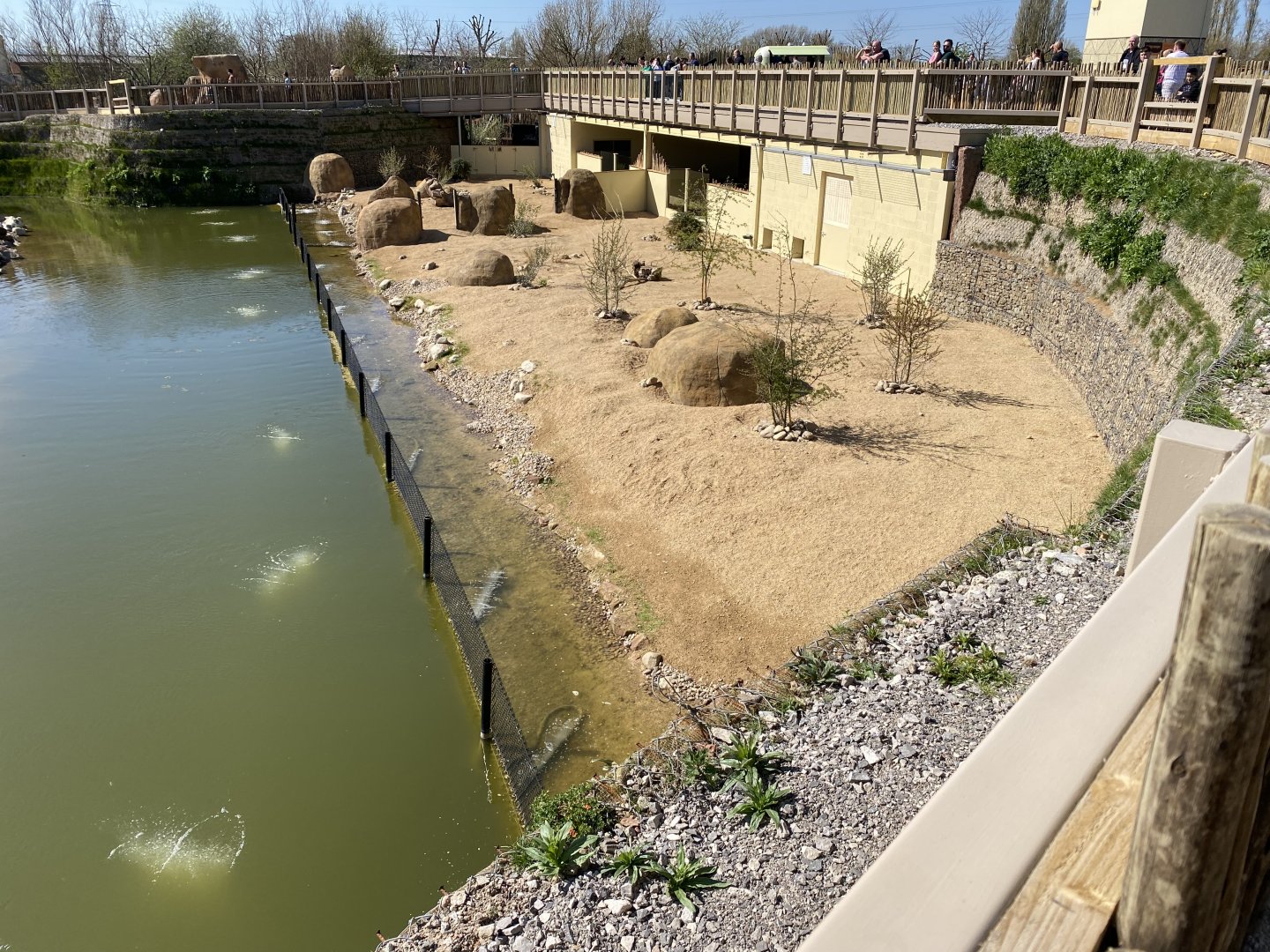Cape porcupine enclosure