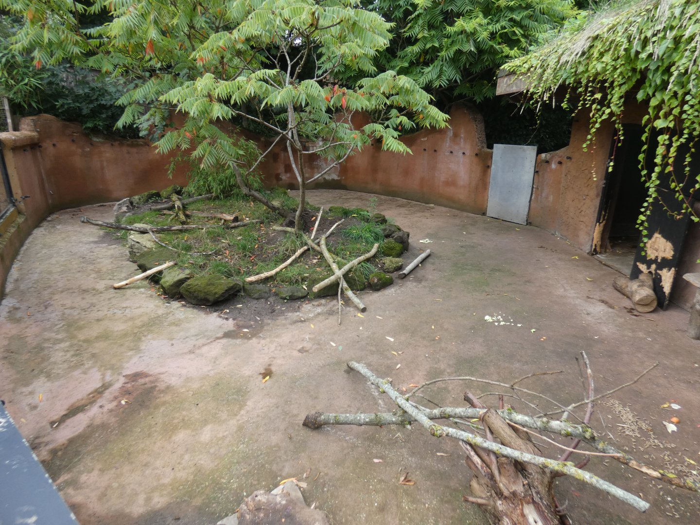 Cape porcupine enclosure