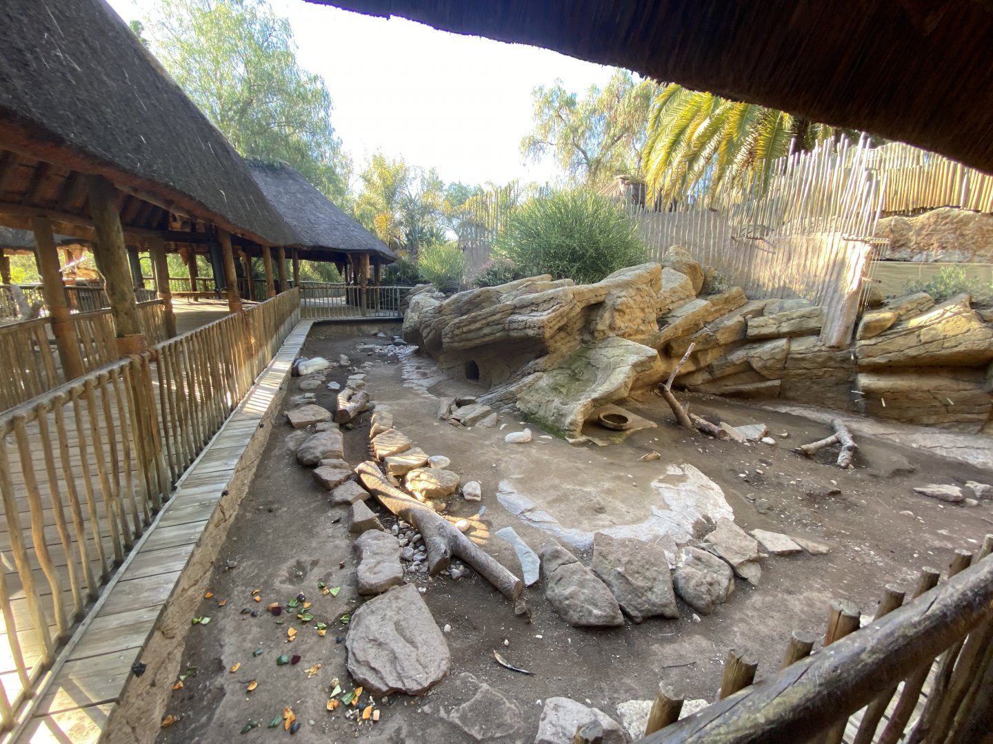 Cape porcupine enclosure