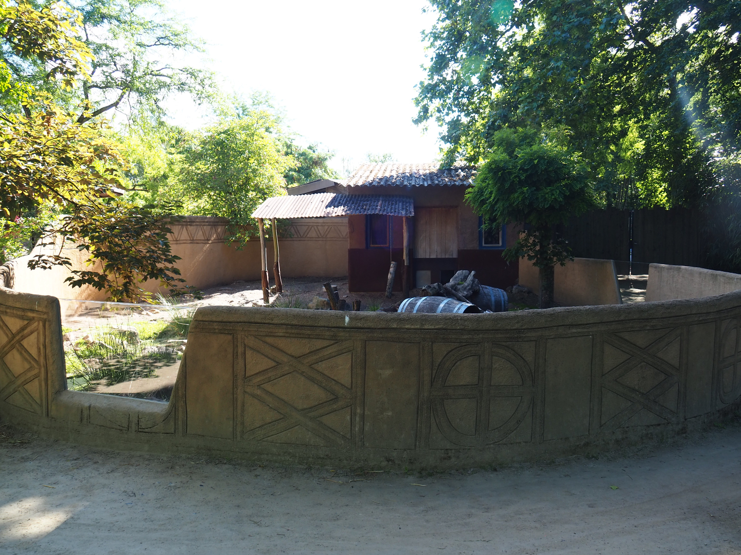 Cape porcupine exhibit, 2020-07-21