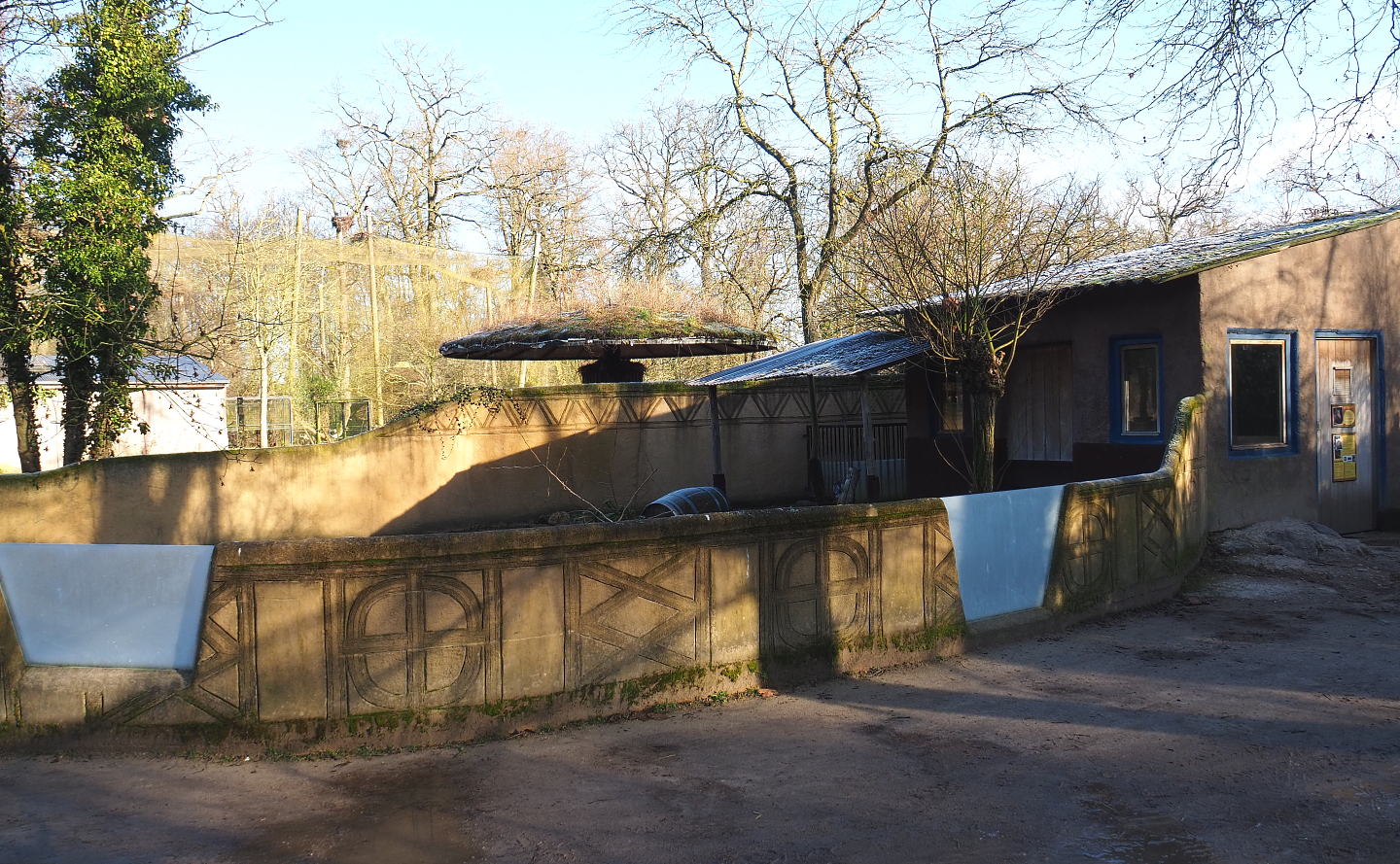 Cape porcupine exhibit, 2022-02-12