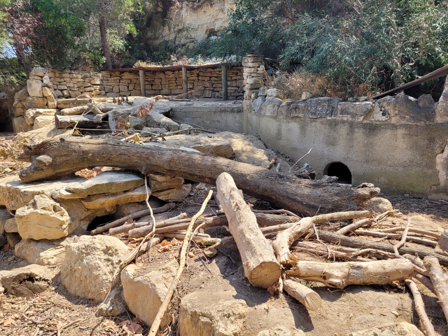 Cape porcupine exhibit -Réserve Africaine de Sigean (2022)