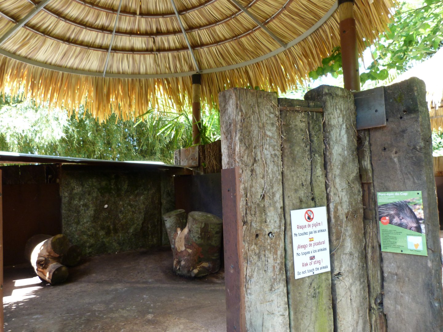 Cape porcupine exhibit -Zoo d'Asson (2025)