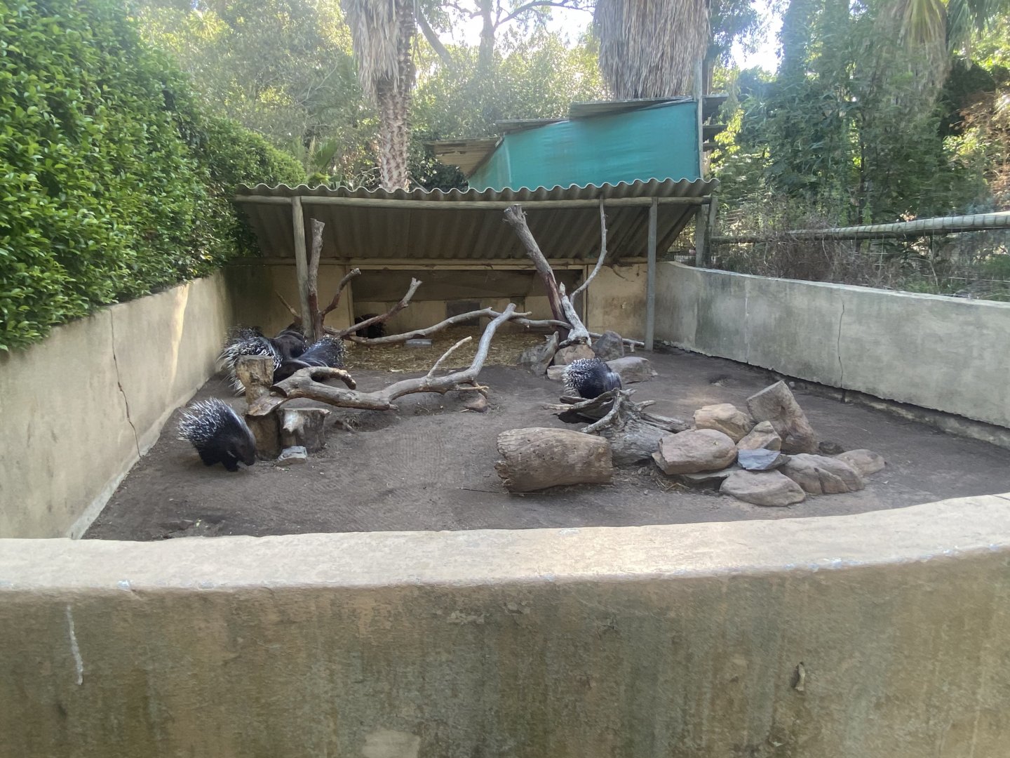 Cape Porcupine Exhibit