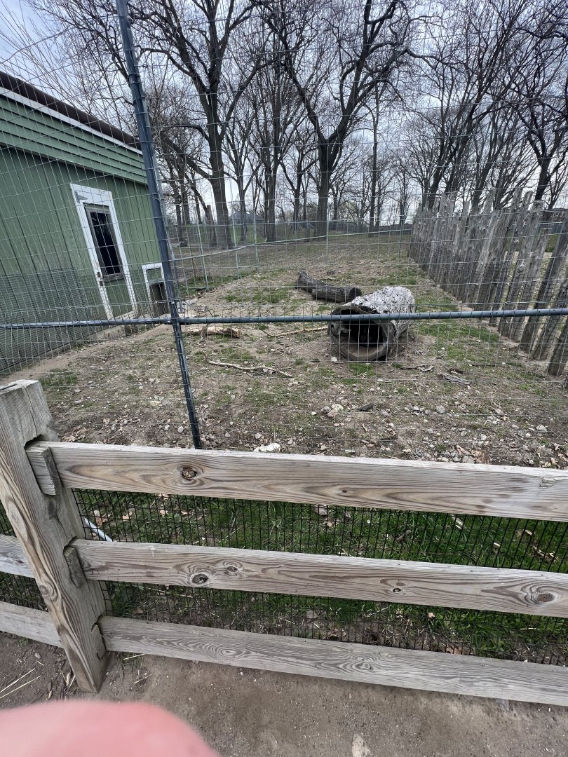 Cape Porcupine Exhibit