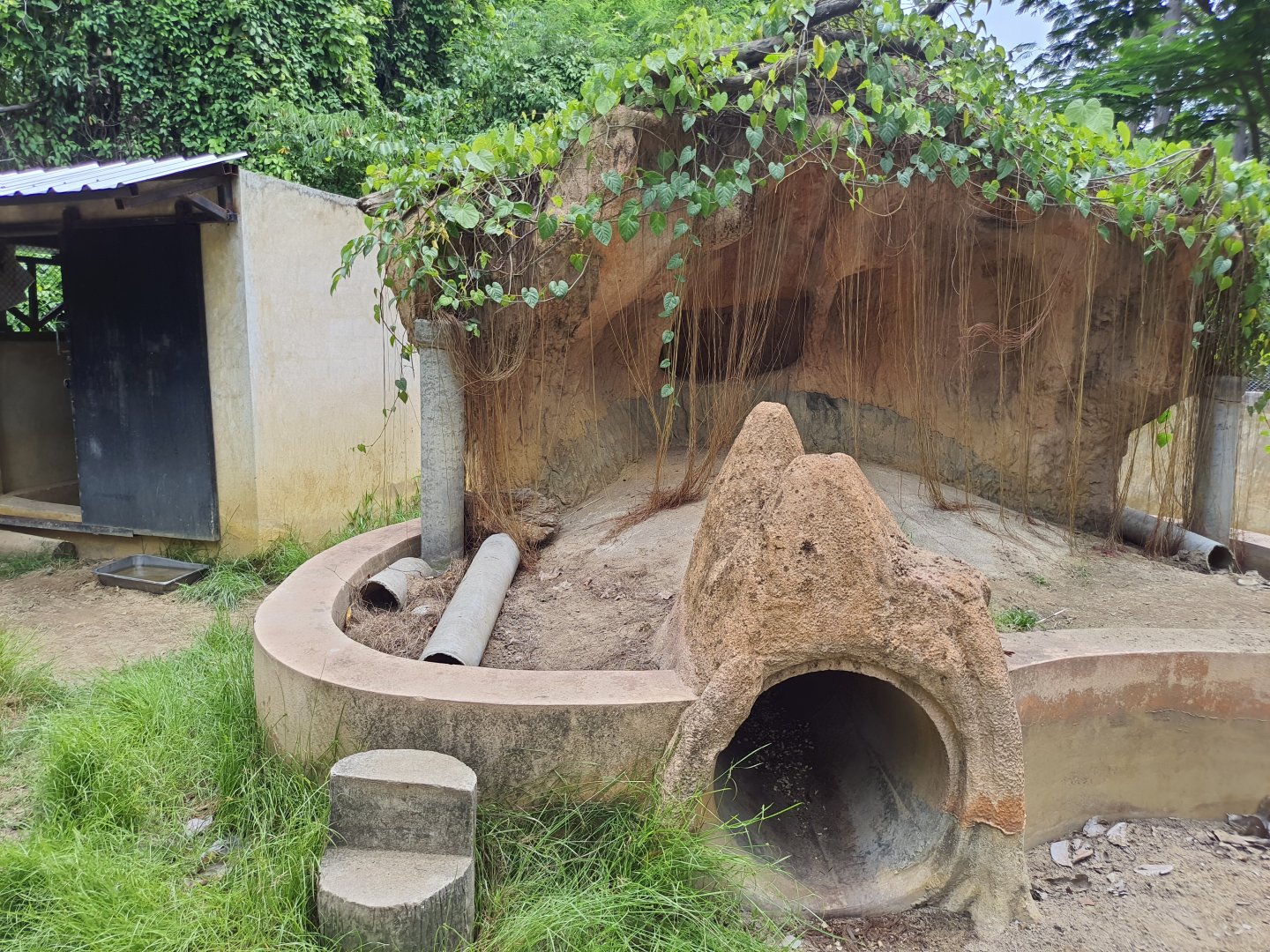 Cape Porcupine exhibit