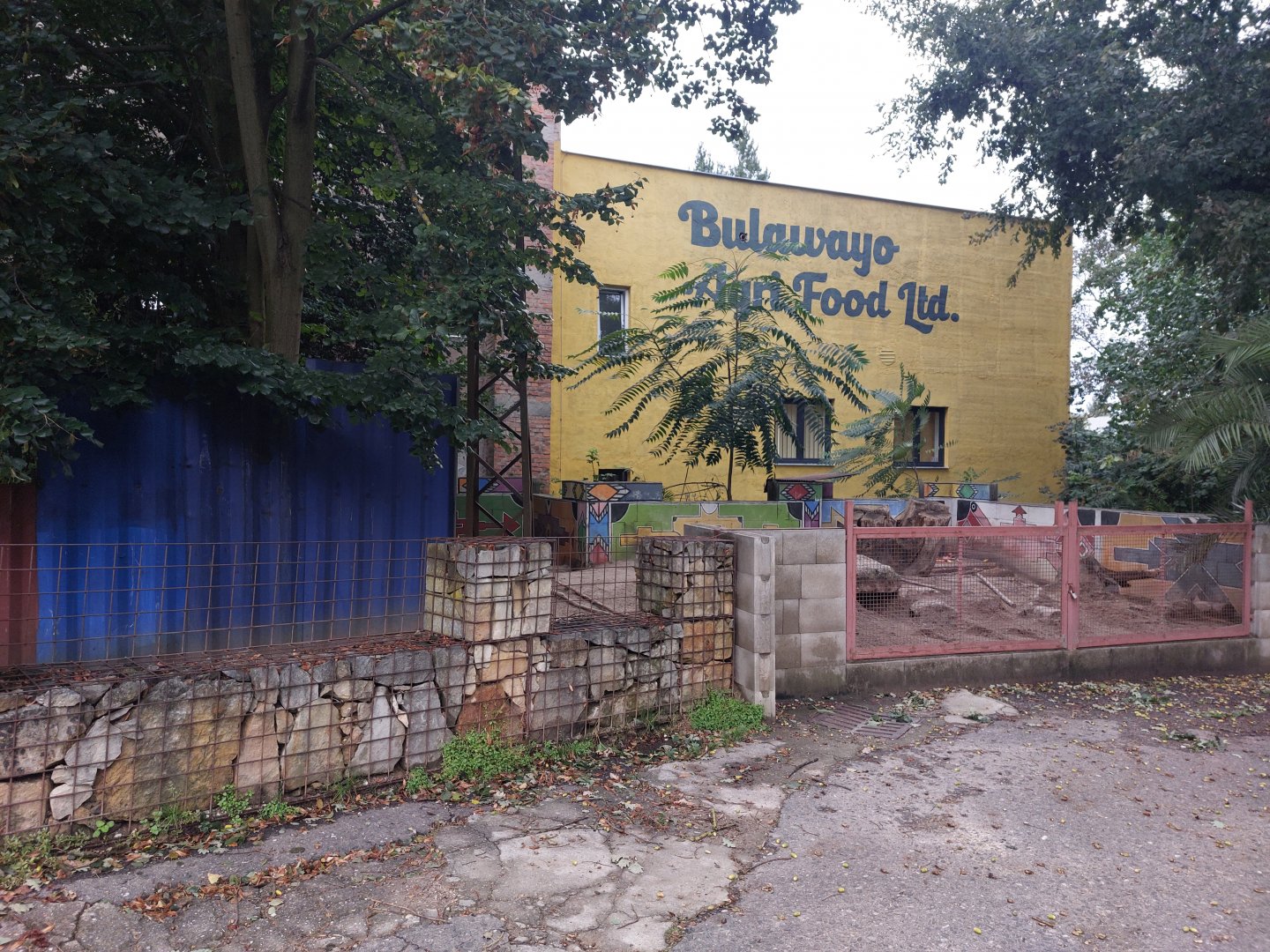 Cape porcupine exhibit