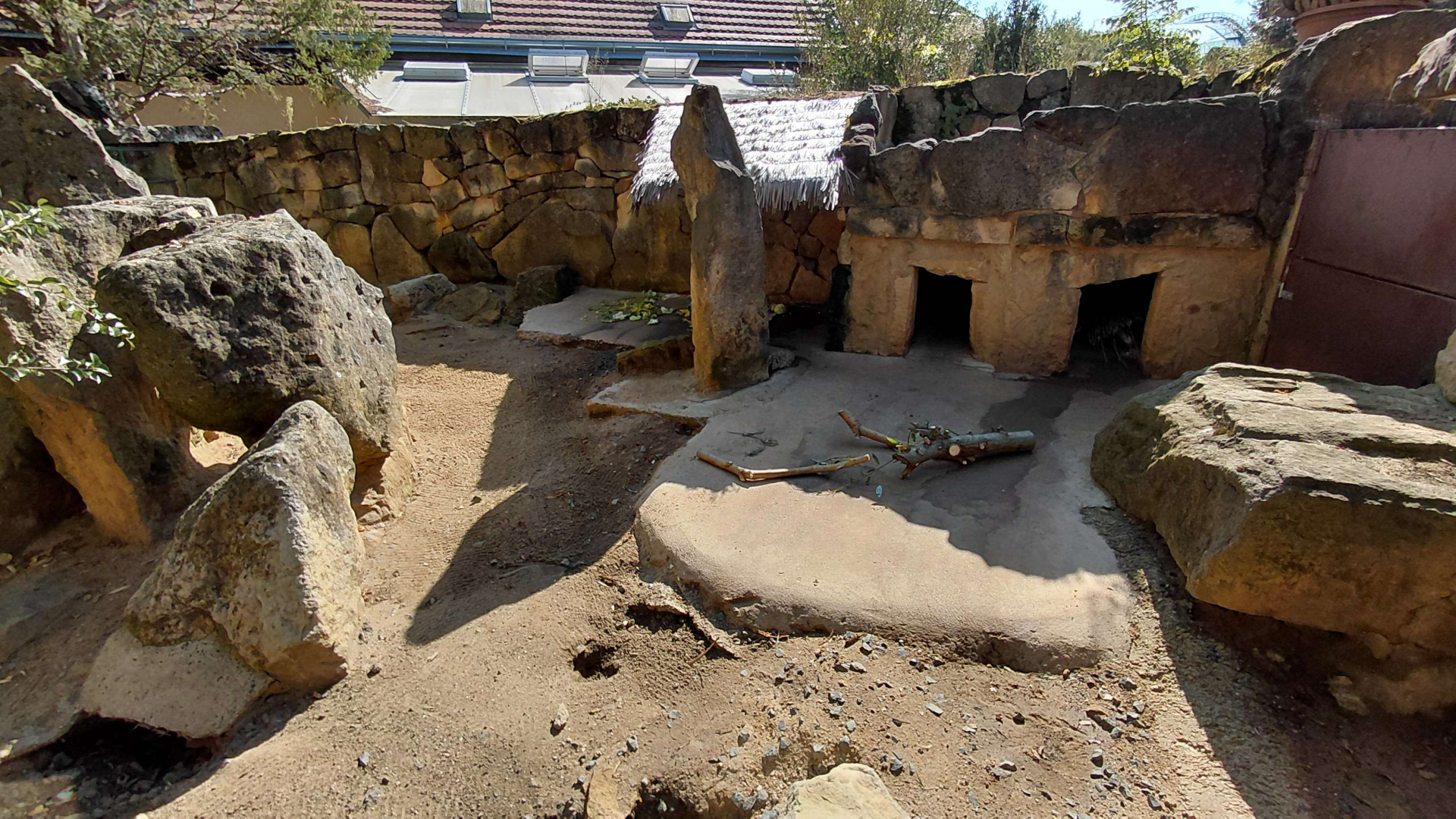 Cape porcupine exhibit