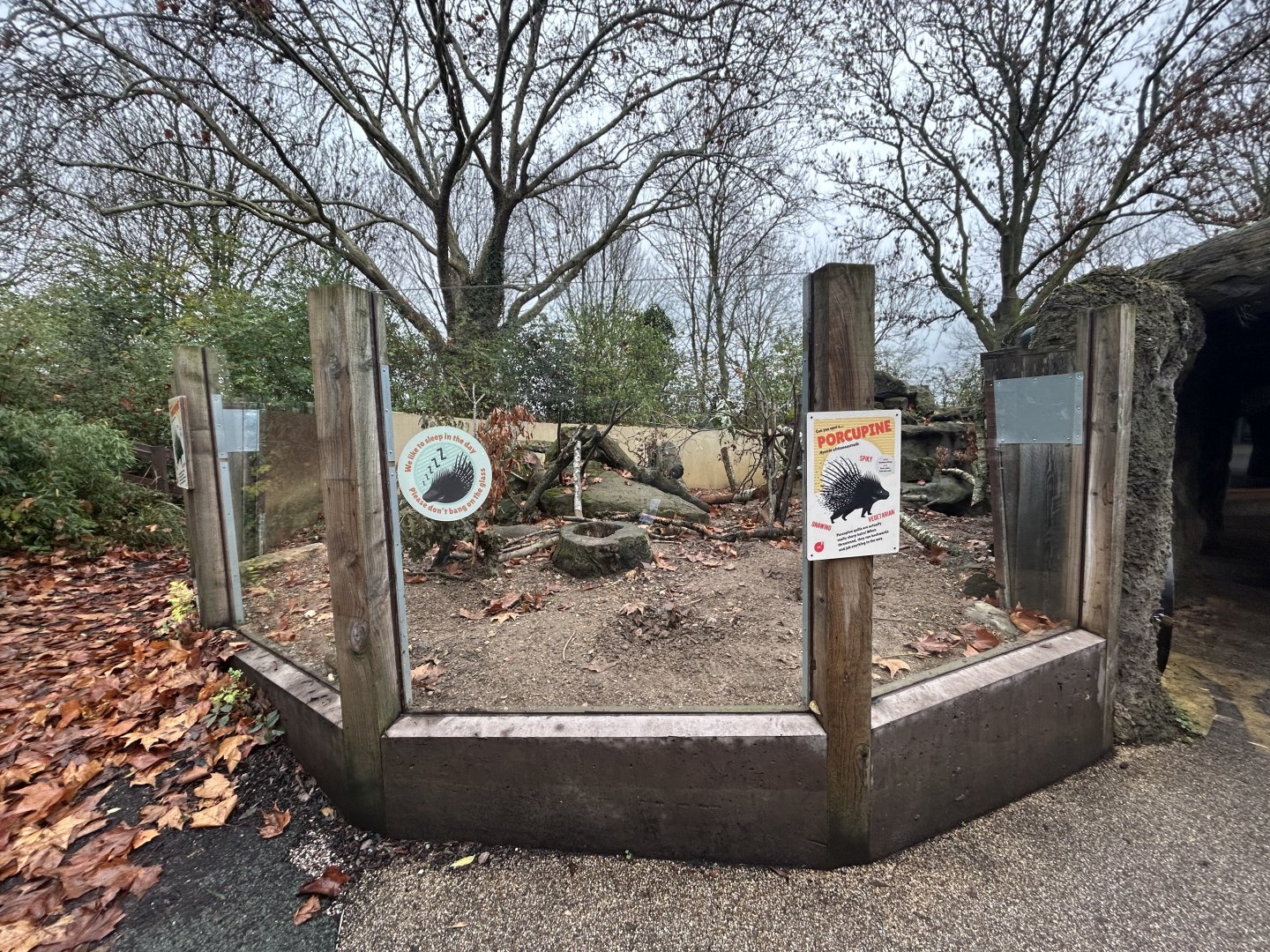 Cape Porcupine Exhibit