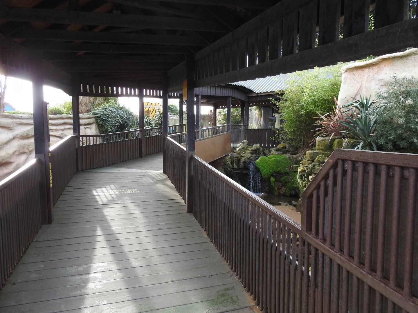 Cape Porcupine (Hystrix africaeaustralis) and Meerkat (Suricata suricatta) Enclosure 5
