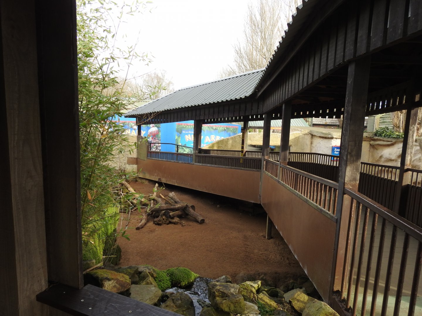 Cape Porcupine (Hystrix africaeaustralis) and Meerkat (Suricata suricatta) Enclosure