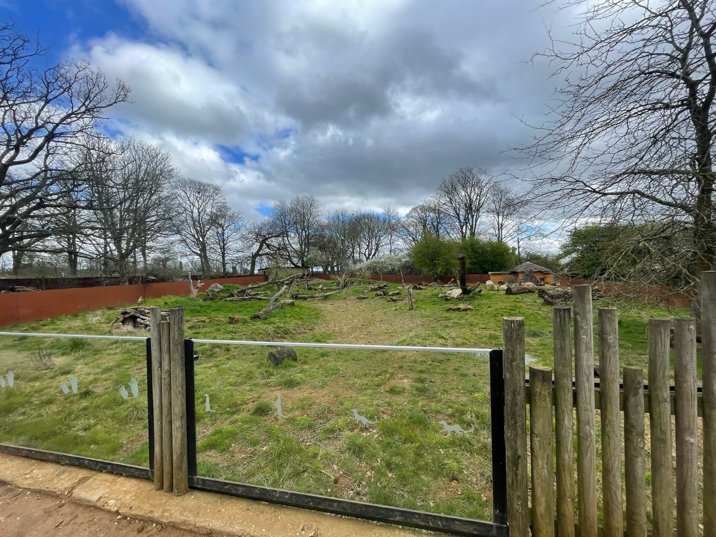 Cape porcupine & Meerkat Enclosure
