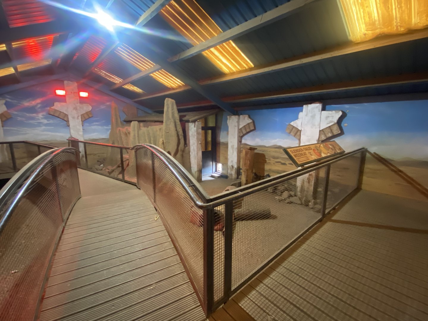 Cape porcupine/Meerkat indoors 040324