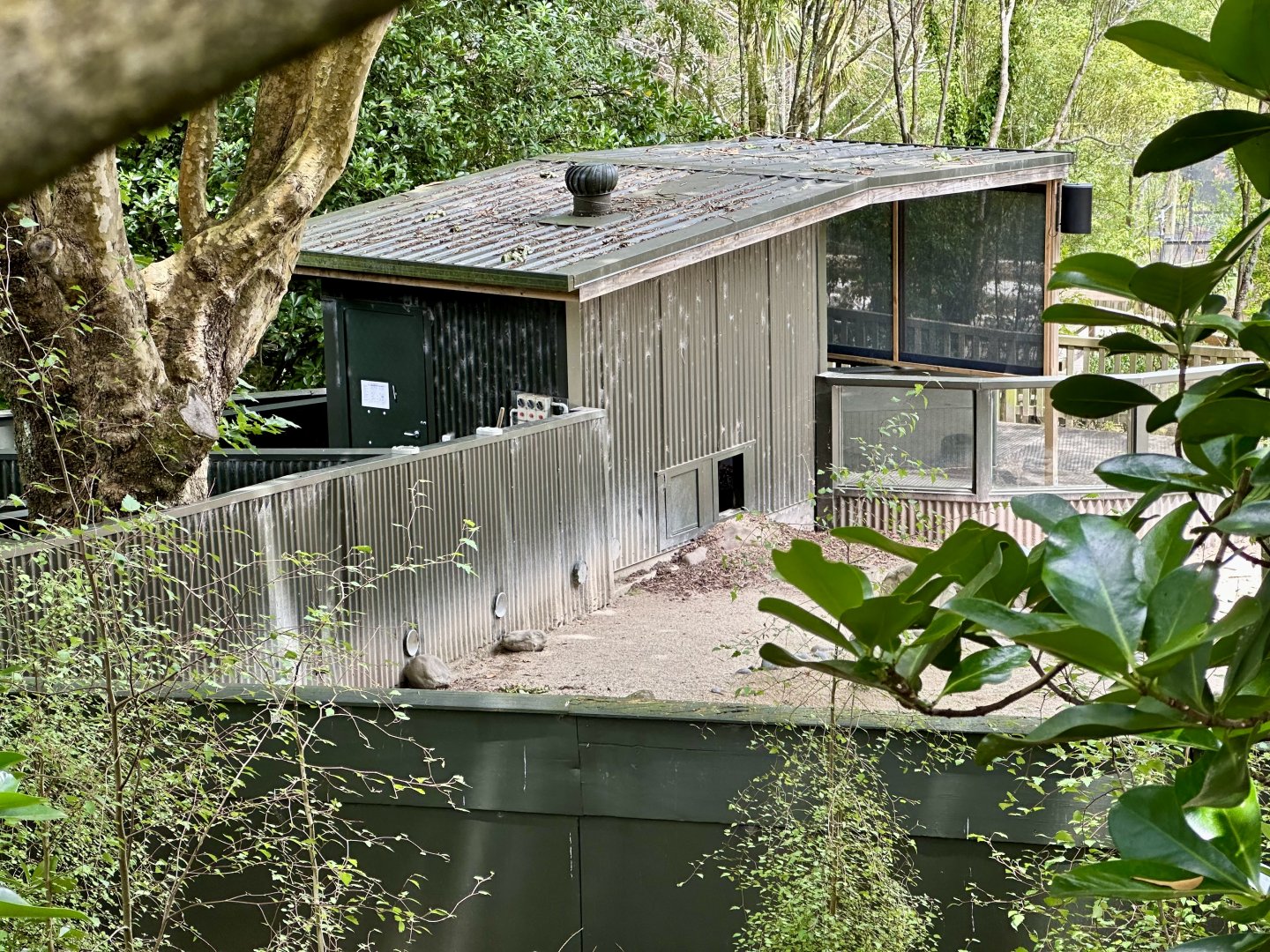Cape Porcupine Nocturnal House