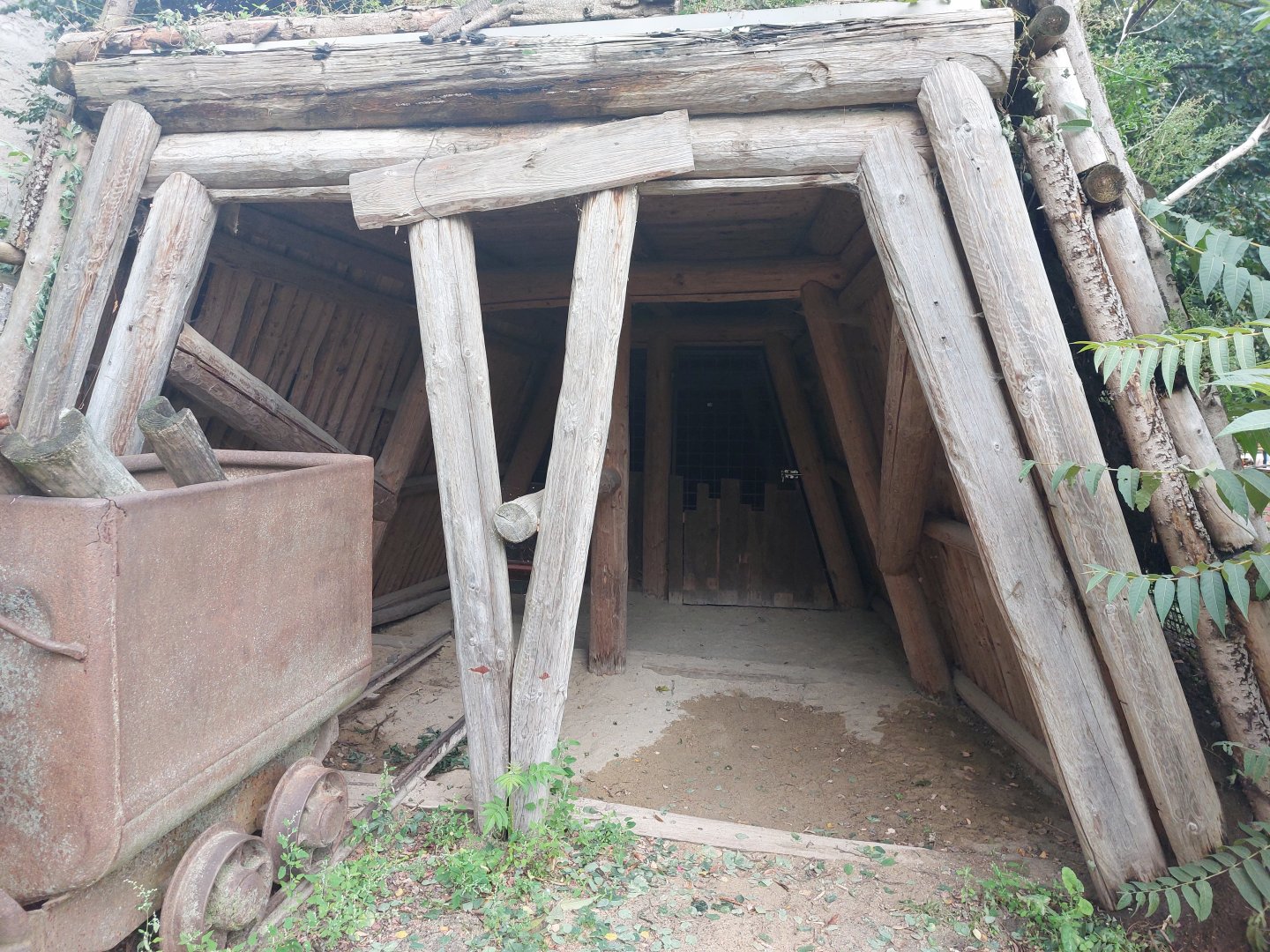 Cape porcupine shelter