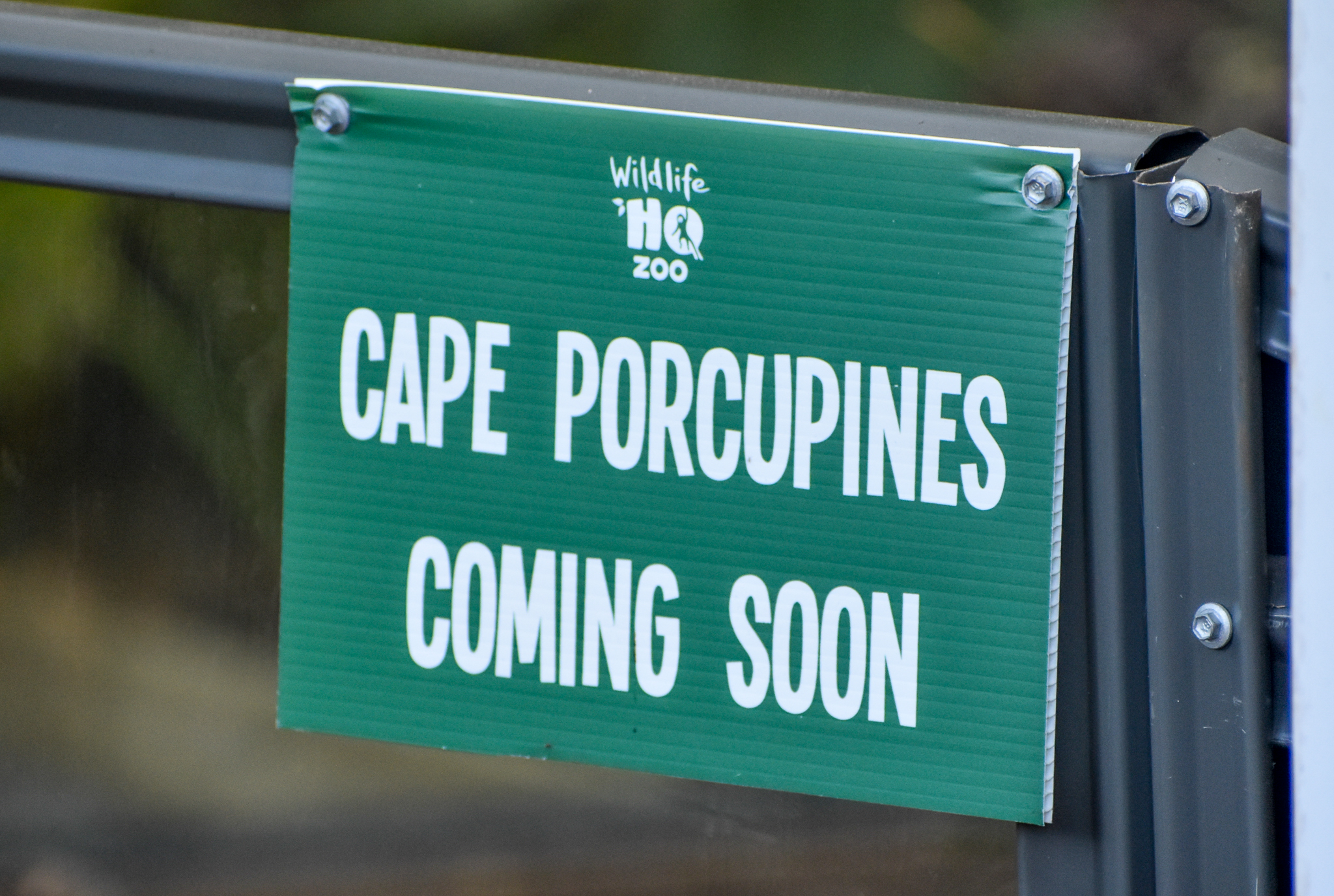 Cape Porcupine Sign