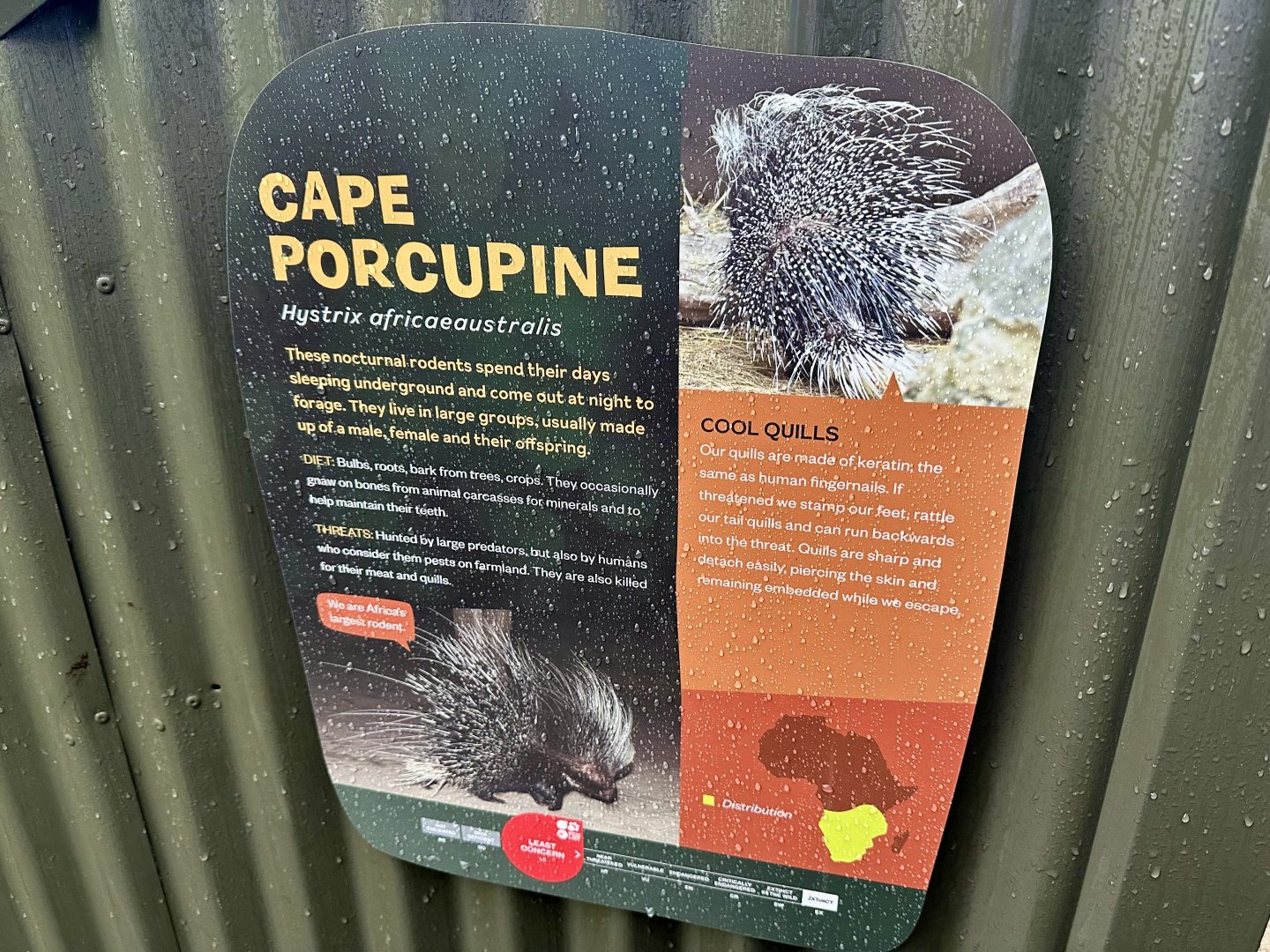 Cape Porcupine Signage