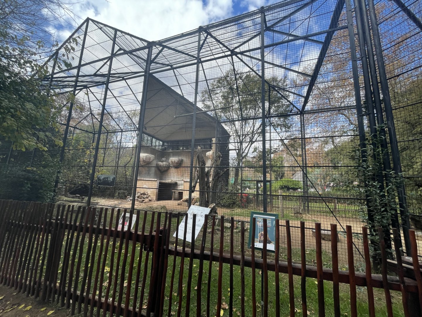 Cape Vulture and Pied Crow Exhibit (Gyps coprotheres, Corvus albus)