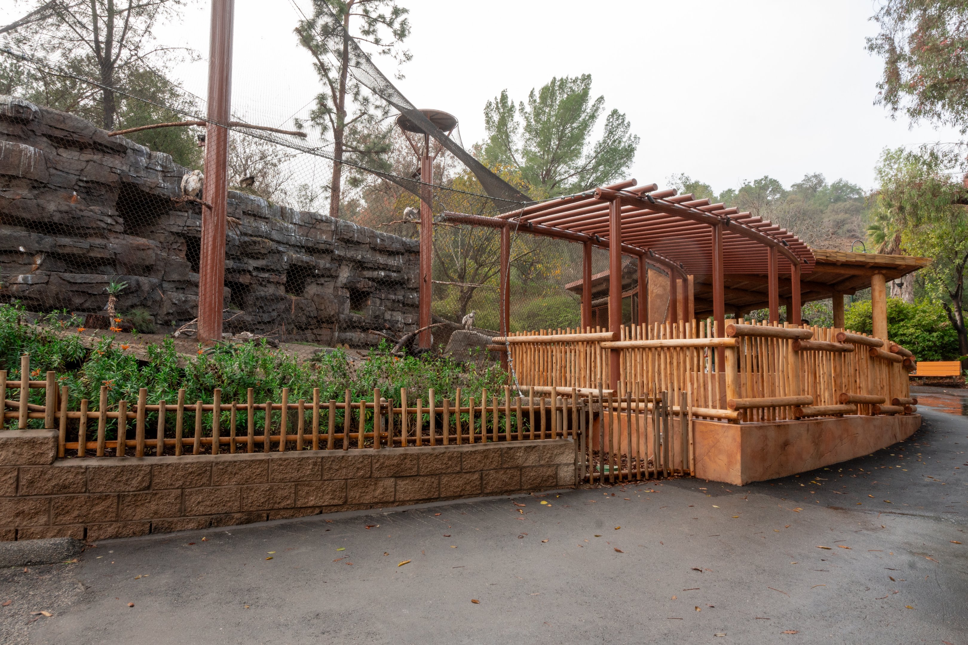 Cape Vulture Aviary - Overview