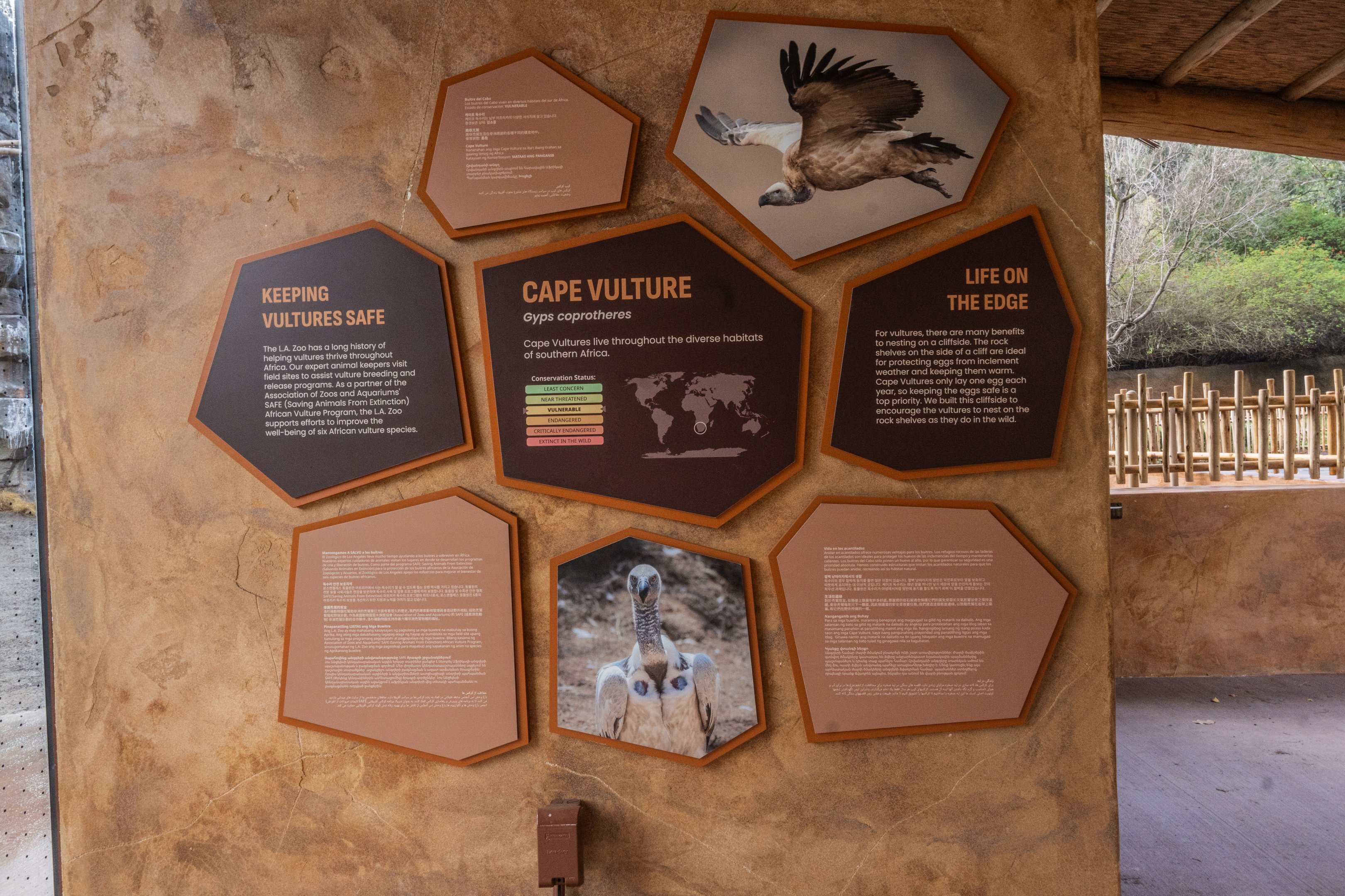 Cape Vulture Aviary - Signage
