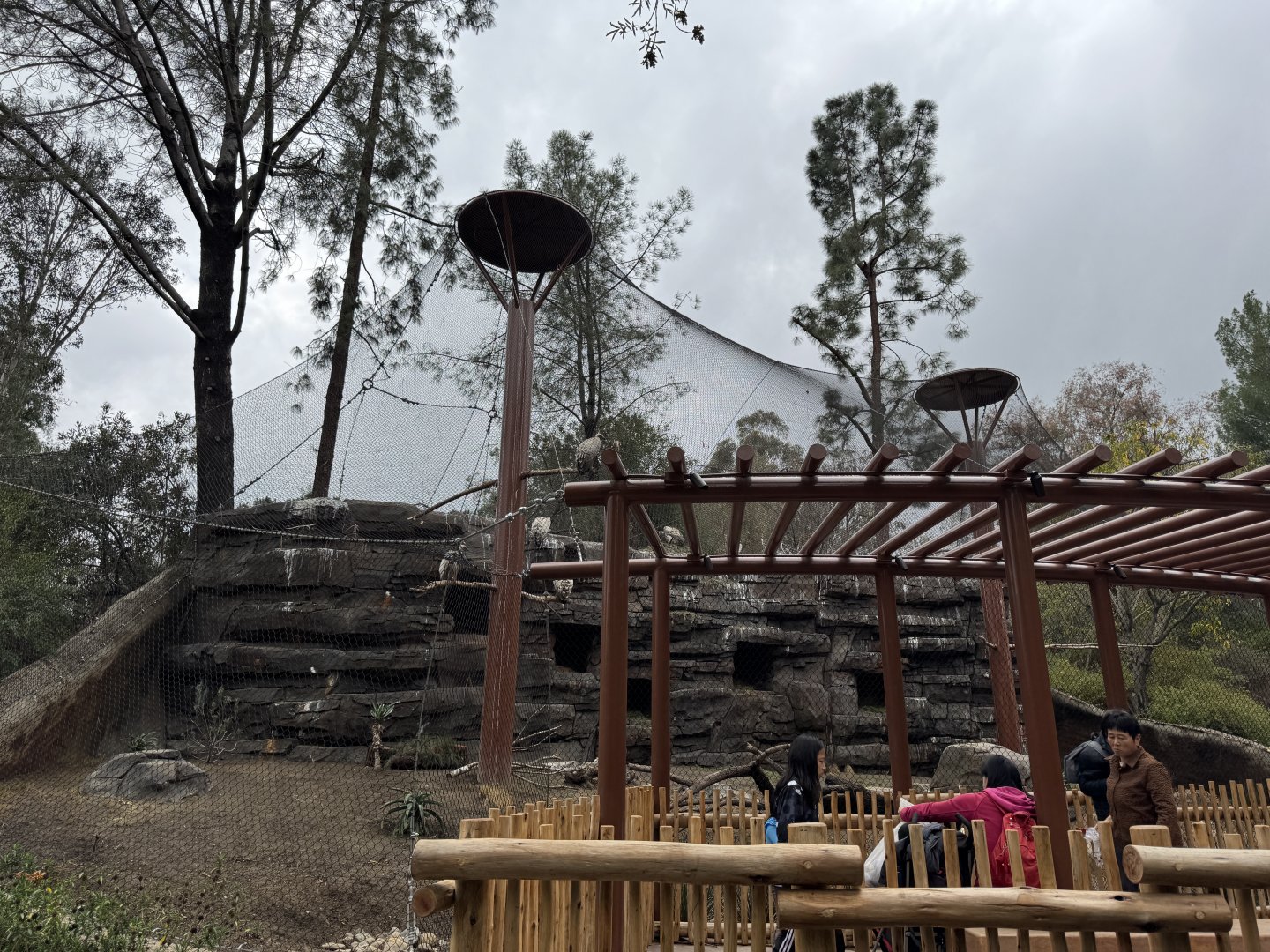 Cape Vulture habitat from the gorilla walkway