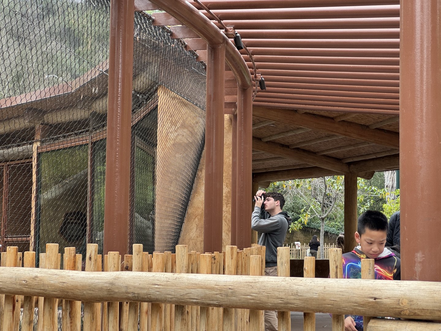 Cape Vulture viewing area