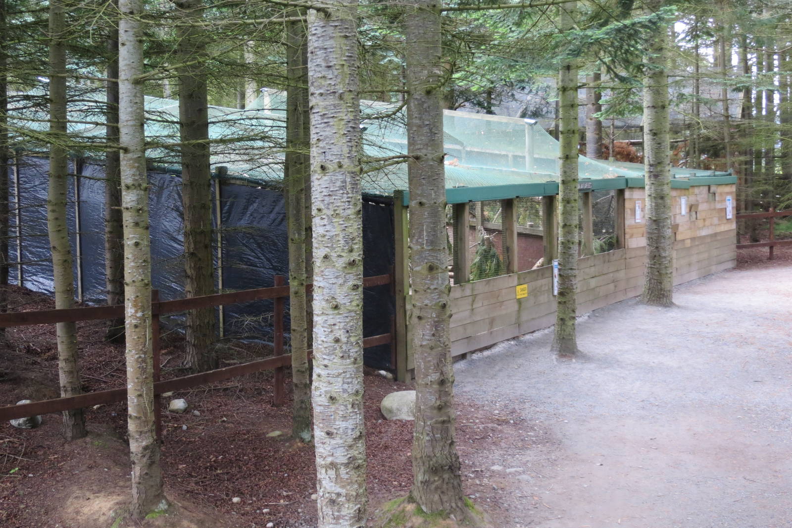 Capercaillie and Tragopan aviaries 250815