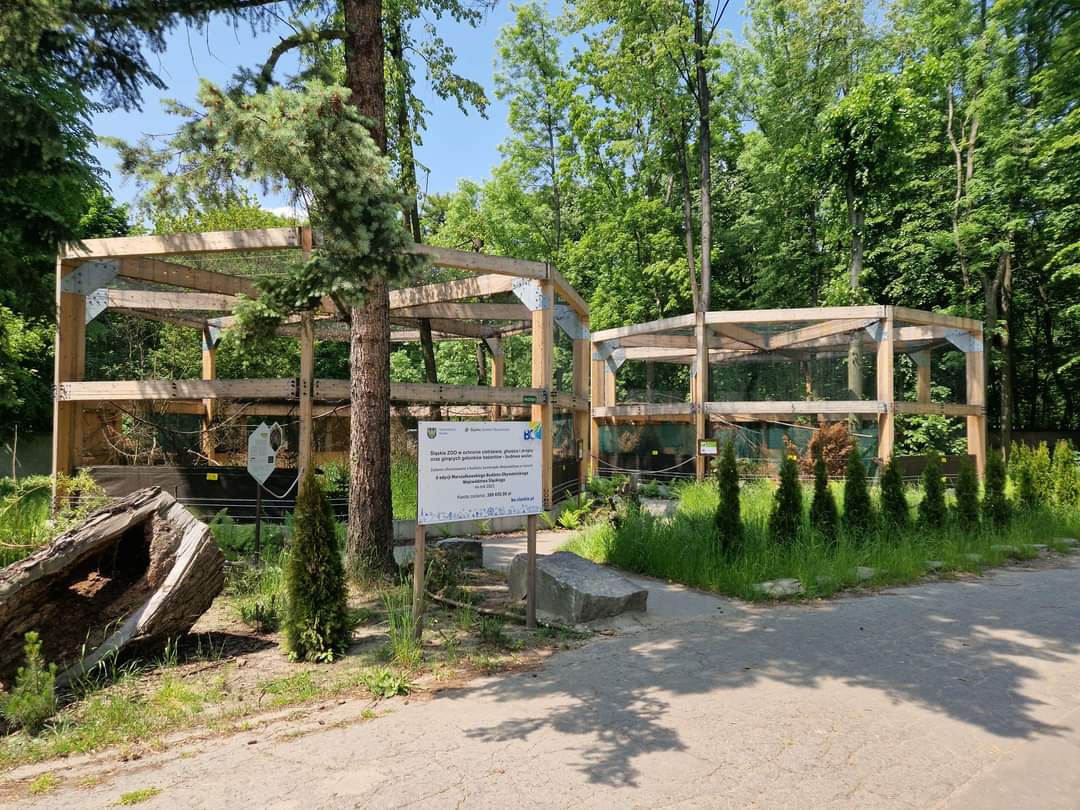 Capercaillie exhibit