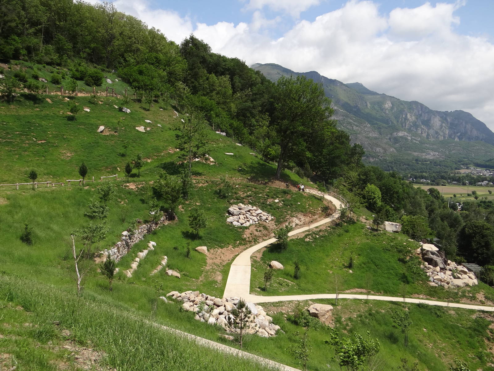 Caprid walkthrough exhibit (6 species)