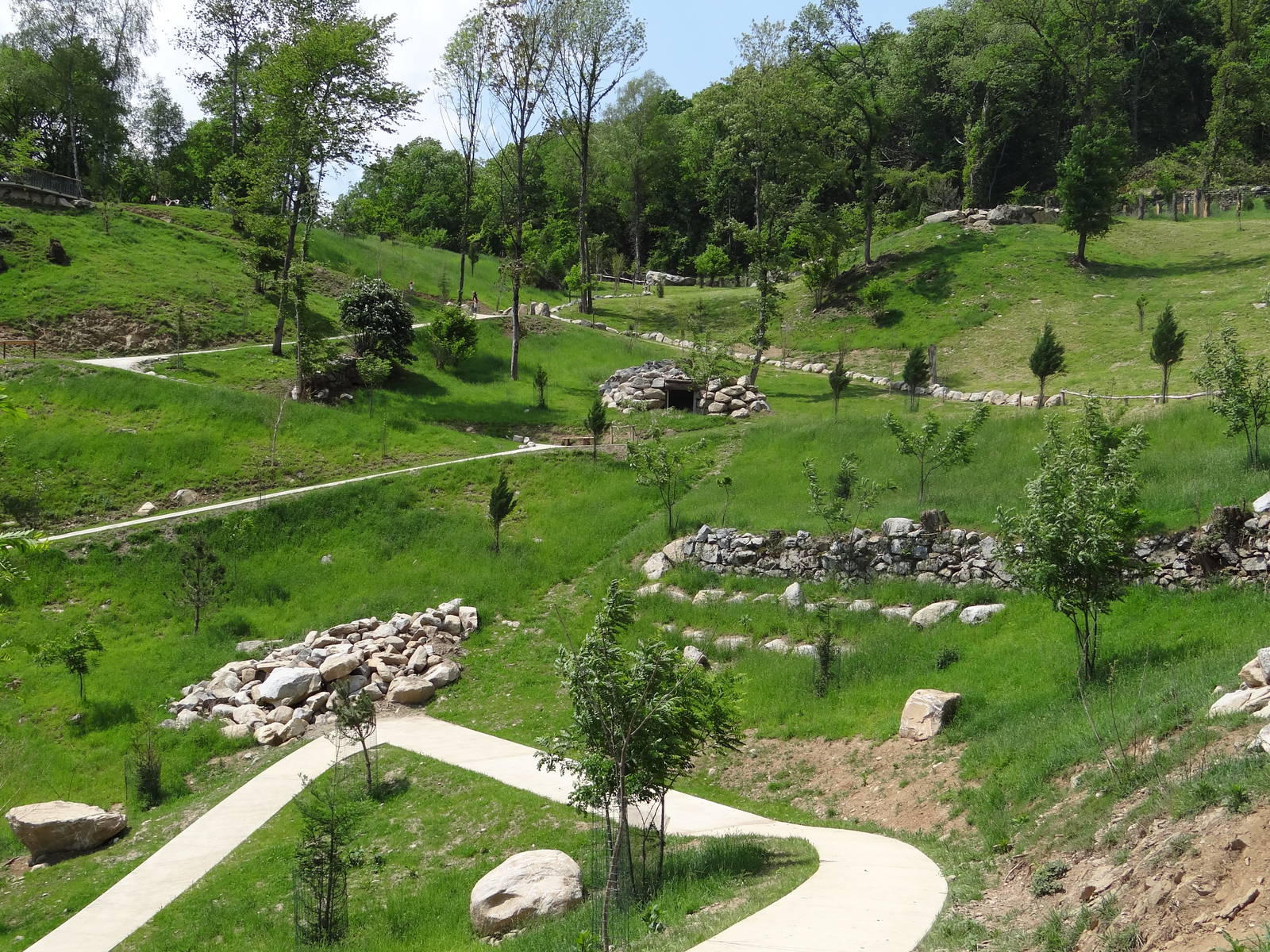 Caprid walkthrough exhibit (6 species)