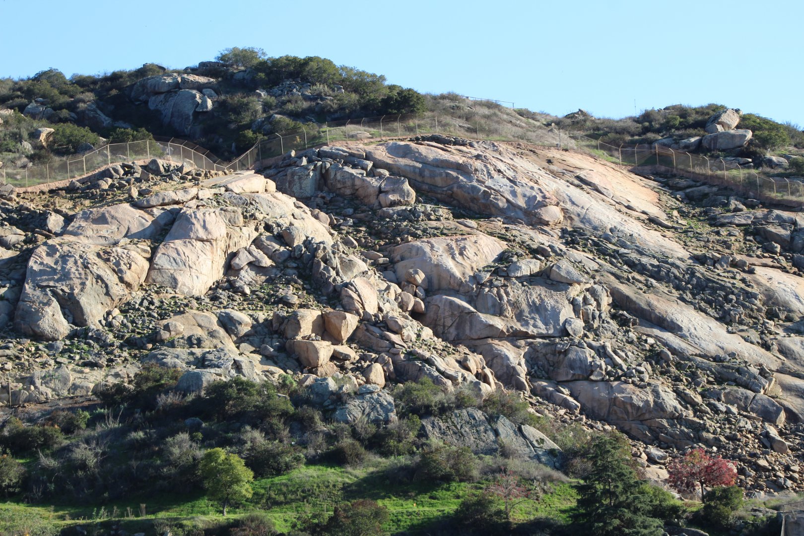 Caprine Cliffside Exhibit